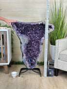 Extra Plus Quality Amethyst Clusters on Metal Stand, 161 lbs, 37" Tall #5491 - 0036 - Brazil GemsBrazil GemsExtra Plus Quality Amethyst Clusters on Metal Stand, 161 lbs, 37" Tall #5491 - 0036Clusters on Fixed Bases5491 - 0036