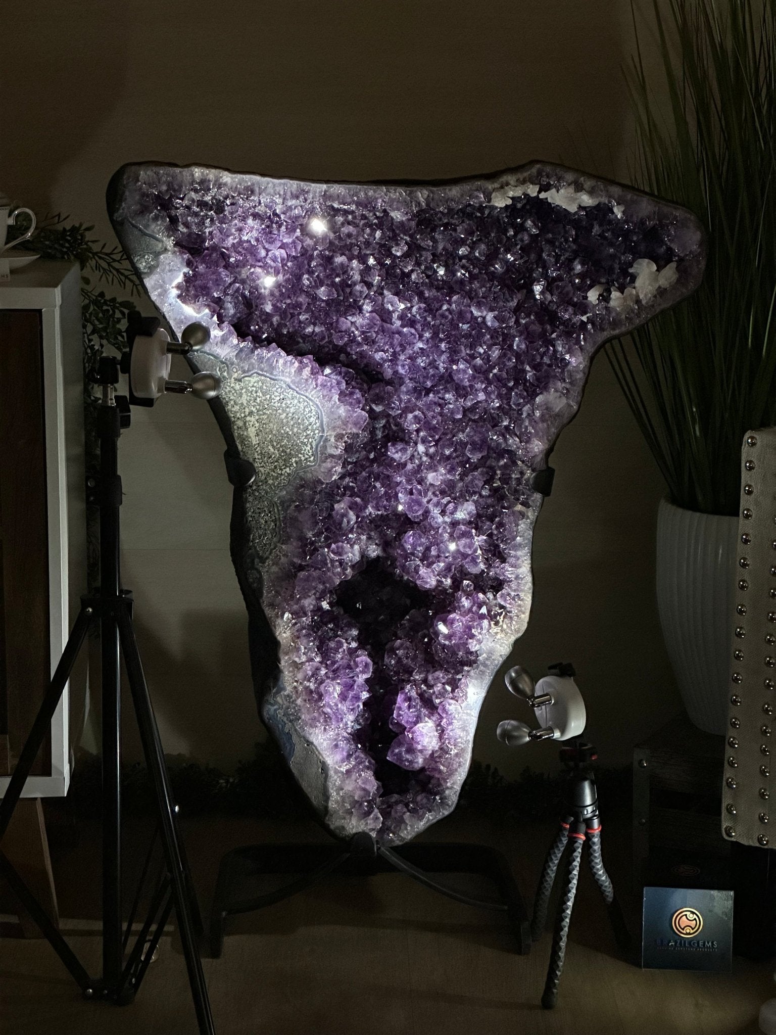 Extra Plus Quality Amethyst Clusters on Metal Stand, 161 lbs, 37" Tall #5491 - 0036 - Brazil GemsBrazil GemsExtra Plus Quality Amethyst Clusters on Metal Stand, 161 lbs, 37" Tall #5491 - 0036Clusters on Fixed Bases5491 - 0036