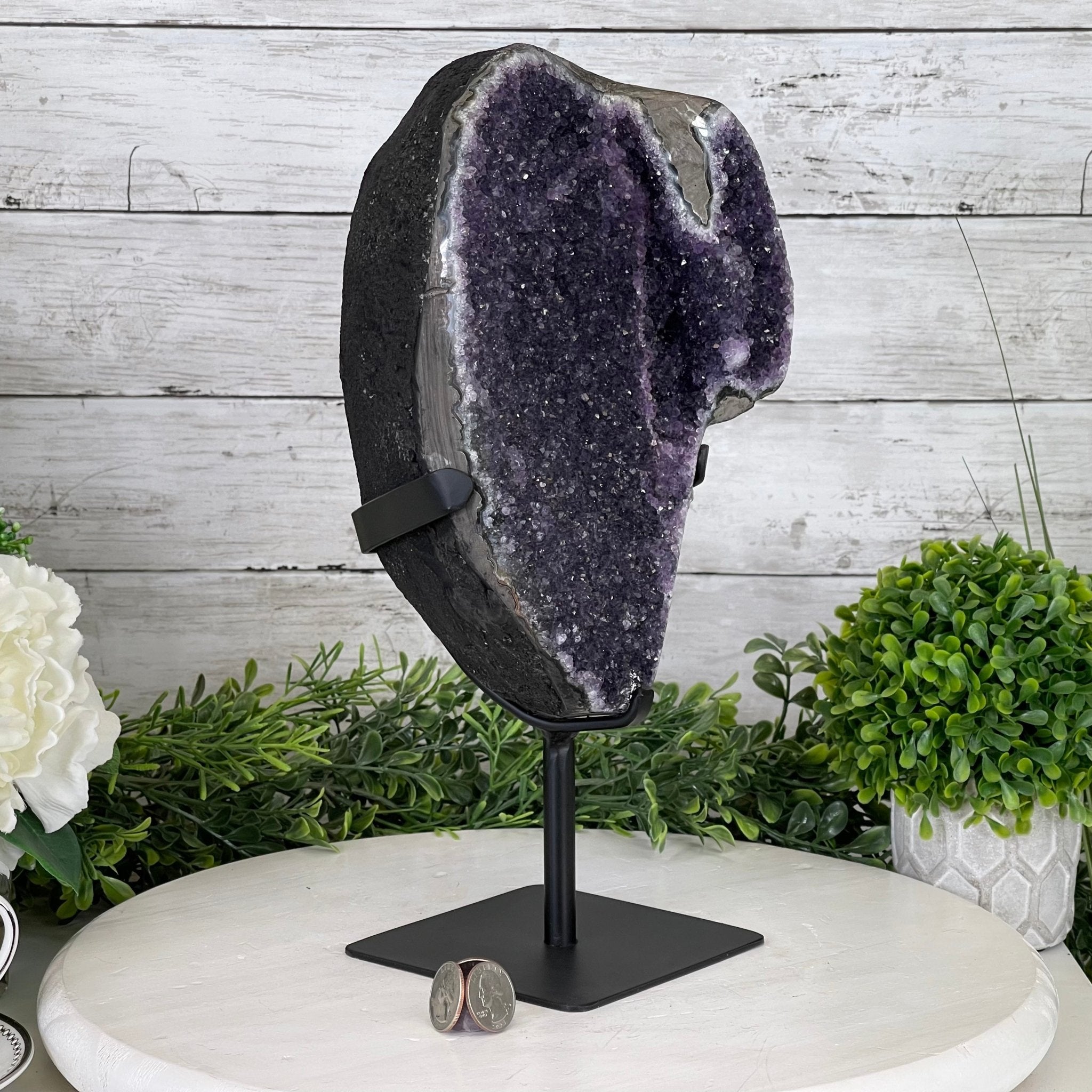 Extra Plus Quality Amethyst Druse Cluster on Metal Stand, 12.7 lbs & 13.4" tall #5491-0043 by Brazil Gems - Brazil GemsBrazil GemsExtra Plus Quality Amethyst Druse Cluster on Metal Stand, 12.7 lbs & 13.4" tall #5491-0043 by Brazil GemsClusters on Fixed Bases5491-0043