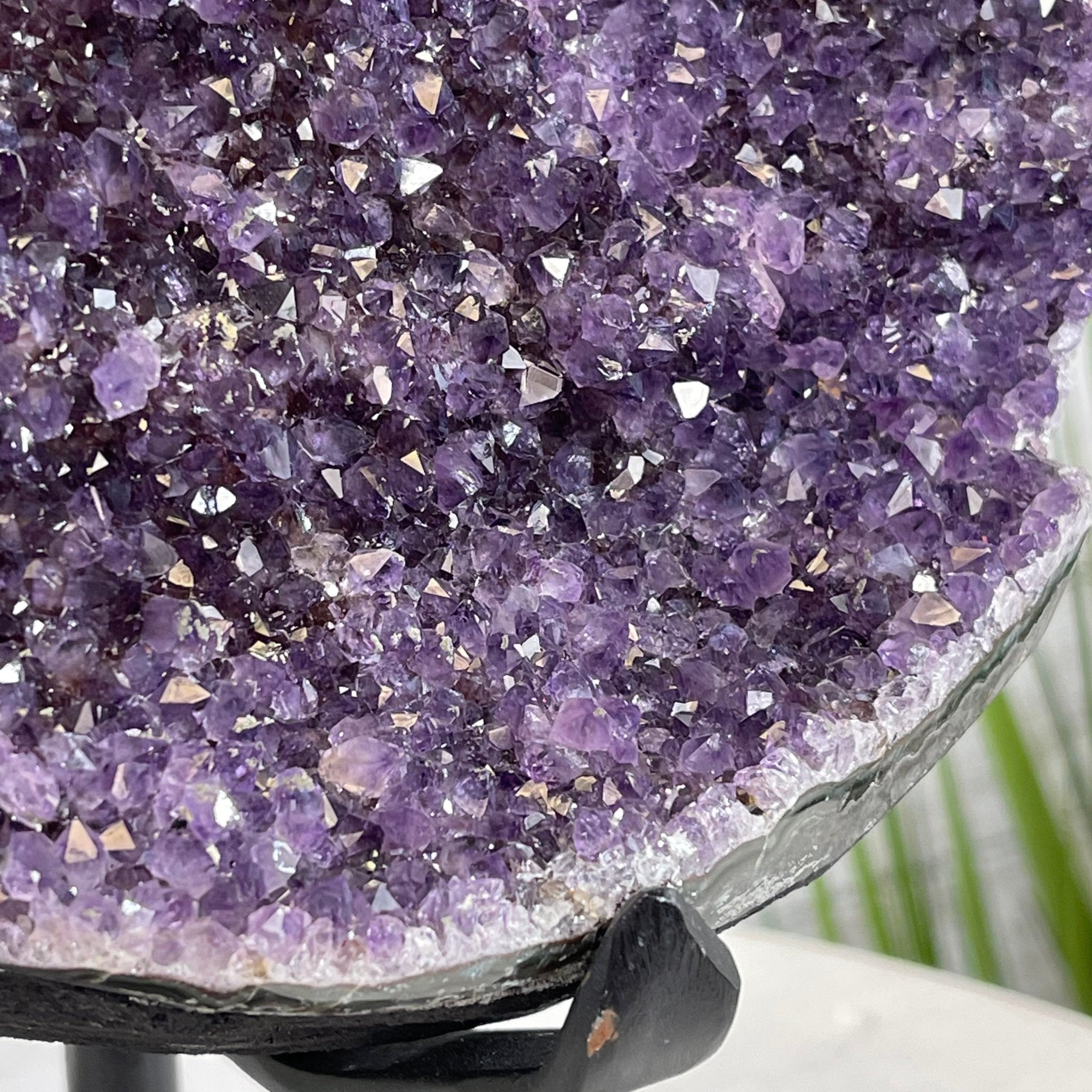 Extra Plus Quality Amethyst Druse Cluster on Metal Stand, 16.5 lbs & 12" tall #5491-0039 by Brazil Gems - Brazil GemsBrazil GemsExtra Plus Quality Amethyst Druse Cluster on Metal Stand, 16.5 lbs & 12" tall #5491-0039 by Brazil GemsClusters on Fixed Bases5491-0039