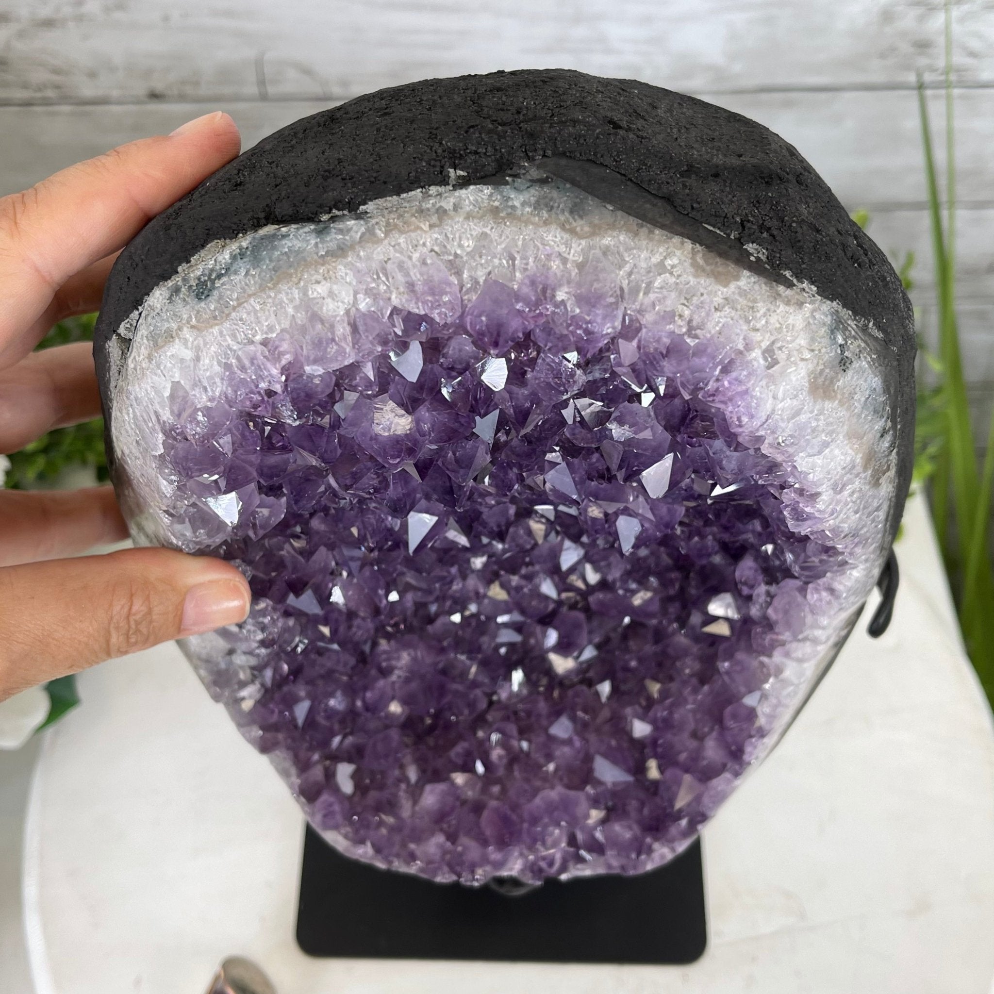 Extra Plus Quality Amethyst Druse Cluster on Metal Stand, 16.7 lbs & 12.9" tall #5491-0040 by Brazil Gems - Brazil GemsBrazil GemsExtra Plus Quality Amethyst Druse Cluster on Metal Stand, 16.7 lbs & 12.9" tall #5491-0040 by Brazil GemsClusters on Fixed Bases5491-0040