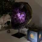 Extra Plus Quality Amethyst Portal, 7.3 lbs & 9.4" Tall #5606 - 0116 - Brazil GemsBrazil GemsExtra Plus Quality Amethyst Portal, 7.3 lbs & 9.4" Tall #5606 - 0116Portals on Fixed Bases5606 - 0116