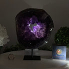 Extra Plus Quality Amethyst Portal, 7.3 lbs & 9.4" Tall #5606 - 0116 - Brazil GemsBrazil GemsExtra Plus Quality Amethyst Portal, 7.3 lbs & 9.4" Tall #5606 - 0116Portals on Fixed Bases5606 - 0116