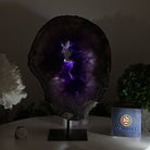 Extra Plus Quality Amethyst Portal on Metal Stand, 6.6 lbs & 10.4" Tall #5606 - 0112 - Brazil GemsBrazil GemsExtra Plus Quality Amethyst Portal on Metal Stand, 6.6 lbs & 10.4" Tall #5606 - 0112Portals on Fixed Bases5606 - 0112