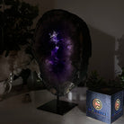 Extra Plus Quality Amethyst Portal on Metal Stand, 6.6 lbs & 10.4" Tall #5606 - 0112 - Brazil GemsBrazil GemsExtra Plus Quality Amethyst Portal on Metal Stand, 6.6 lbs & 10.4" Tall #5606 - 0112Portals on Fixed Bases5606 - 0112