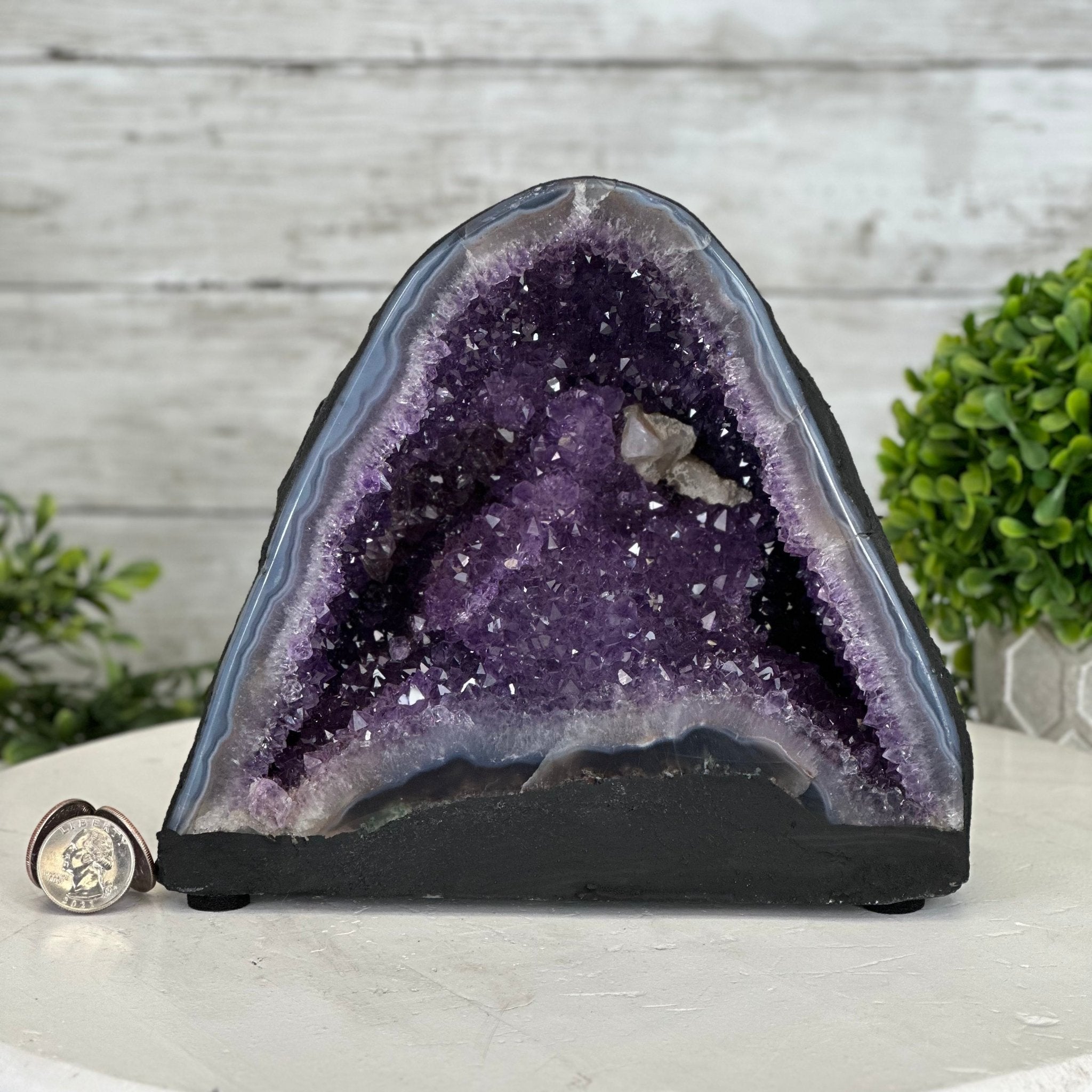 Extra Plus Quality Brazilian Amethyst Cathedral, 10 lbs & 5" Tall, Model #5601-1055 by Brazil Gems - Brazil GemsBrazil GemsExtra Plus Quality Brazilian Amethyst Cathedral, 10 lbs & 5" Tall, Model #5601-1055 by Brazil GemsCathedrals5601-1055