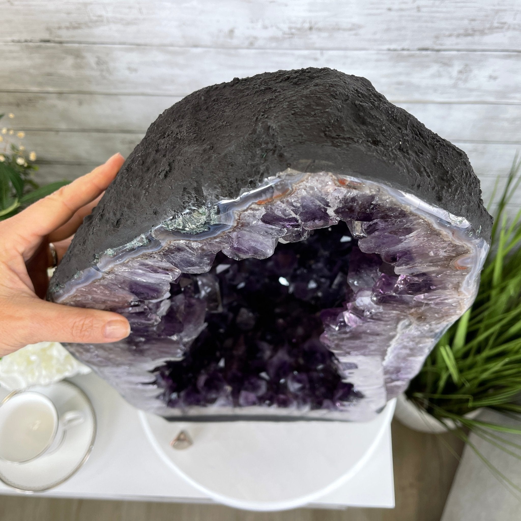 Extra Plus Quality Brazilian Amethyst Cathedral, 105.8 lbs & 23.75” tall Model #5601-0541 by Brazil Gems - Brazil GemsBrazil GemsExtra Plus Quality Brazilian Amethyst Cathedral, 105.8 lbs & 23.75” tall Model #5601-0541 by Brazil GemsCathedrals5601-0541