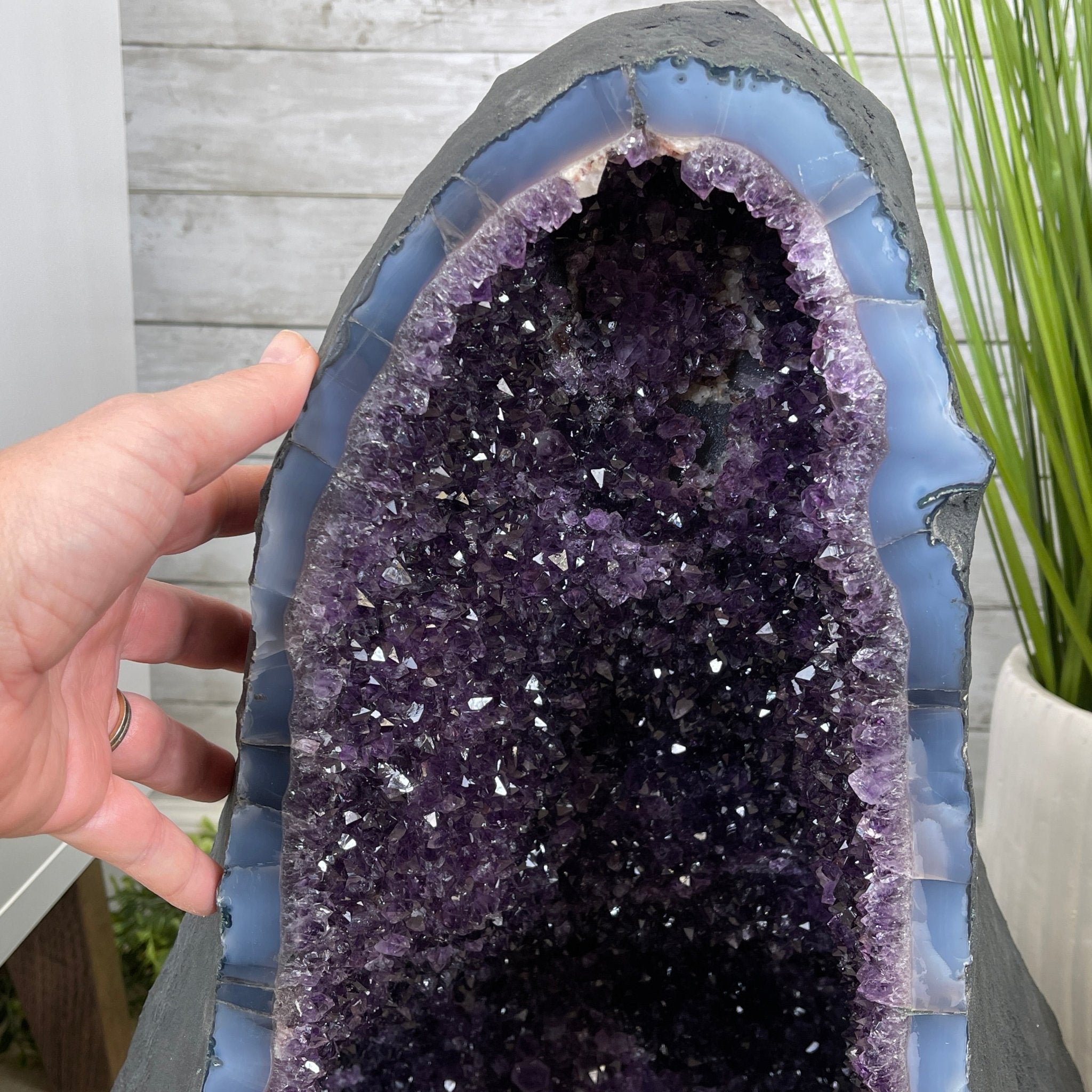 Extra Plus Quality Brazilian Amethyst Cathedral, 130.9 lbs & 22.3” tall Model #5601-0571 by Brazil Gems - Brazil GemsBrazil GemsExtra Plus Quality Brazilian Amethyst Cathedral, 130.9 lbs & 22.3” tall Model #5601-0571 by Brazil GemsCathedrals5601-0571
