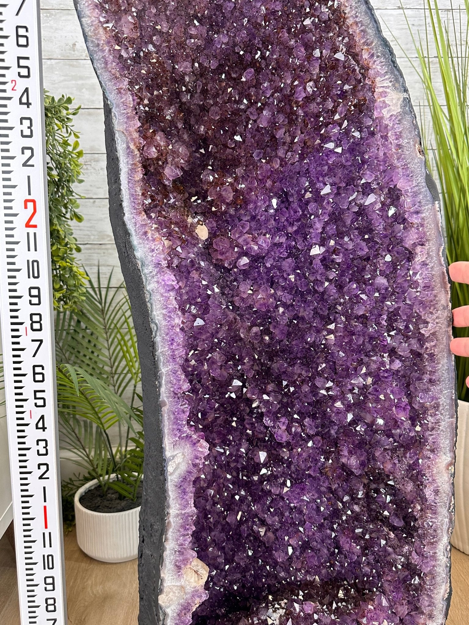 Extra Plus Quality Brazilian Amethyst Cathedral, 154.4 lbs & 38" Tall, Model #5601-1242 by Brazil Gems - Brazil GemsBrazil GemsExtra Plus Quality Brazilian Amethyst Cathedral, 154.4 lbs & 38" Tall, Model #5601-1242 by Brazil GemsCathedrals5601-1242
