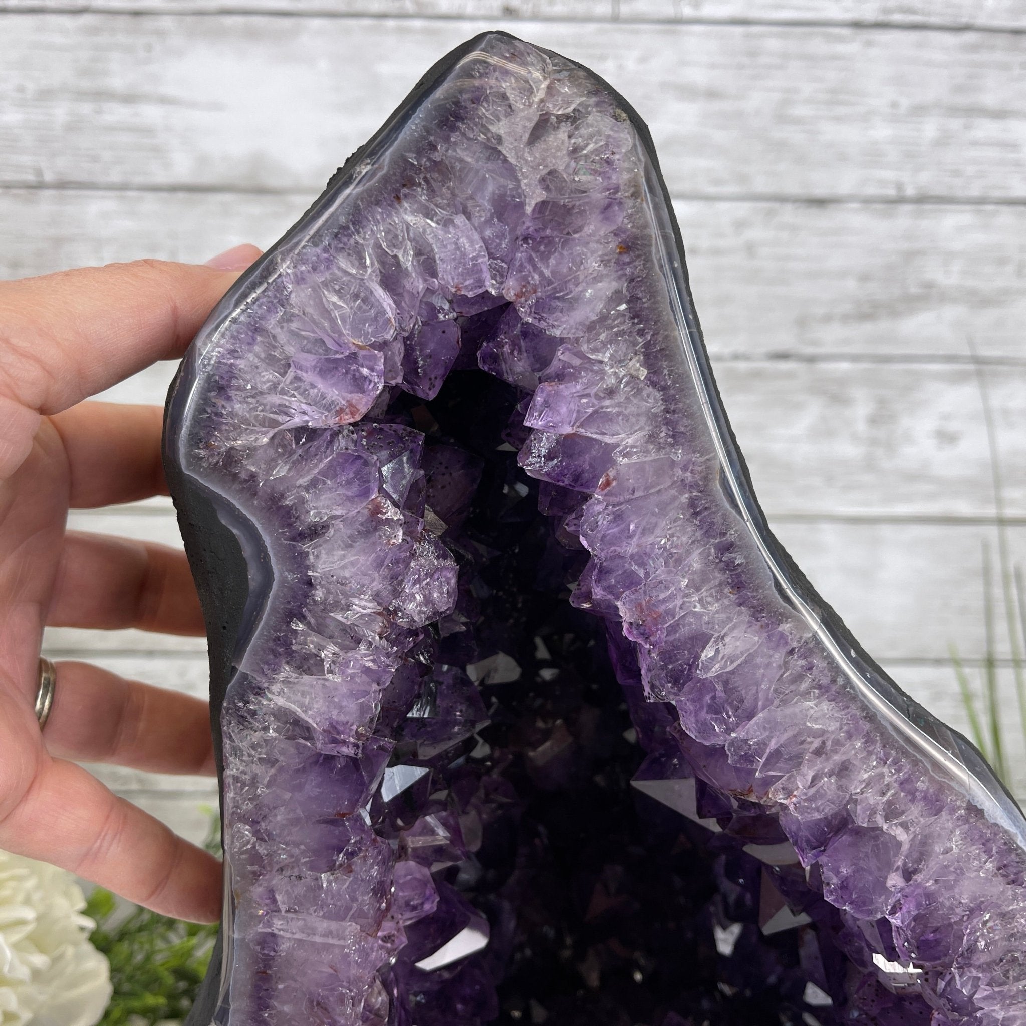 Extra Plus Quality Brazilian Amethyst Cathedral, 26.2 lbs & 13.25” tall Model #5601-1154 by Brazil Gems - Brazil GemsBrazil GemsExtra Plus Quality Brazilian Amethyst Cathedral, 26.2 lbs & 13.25” tall Model #5601-1154 by Brazil GemsCathedrals5601-1154