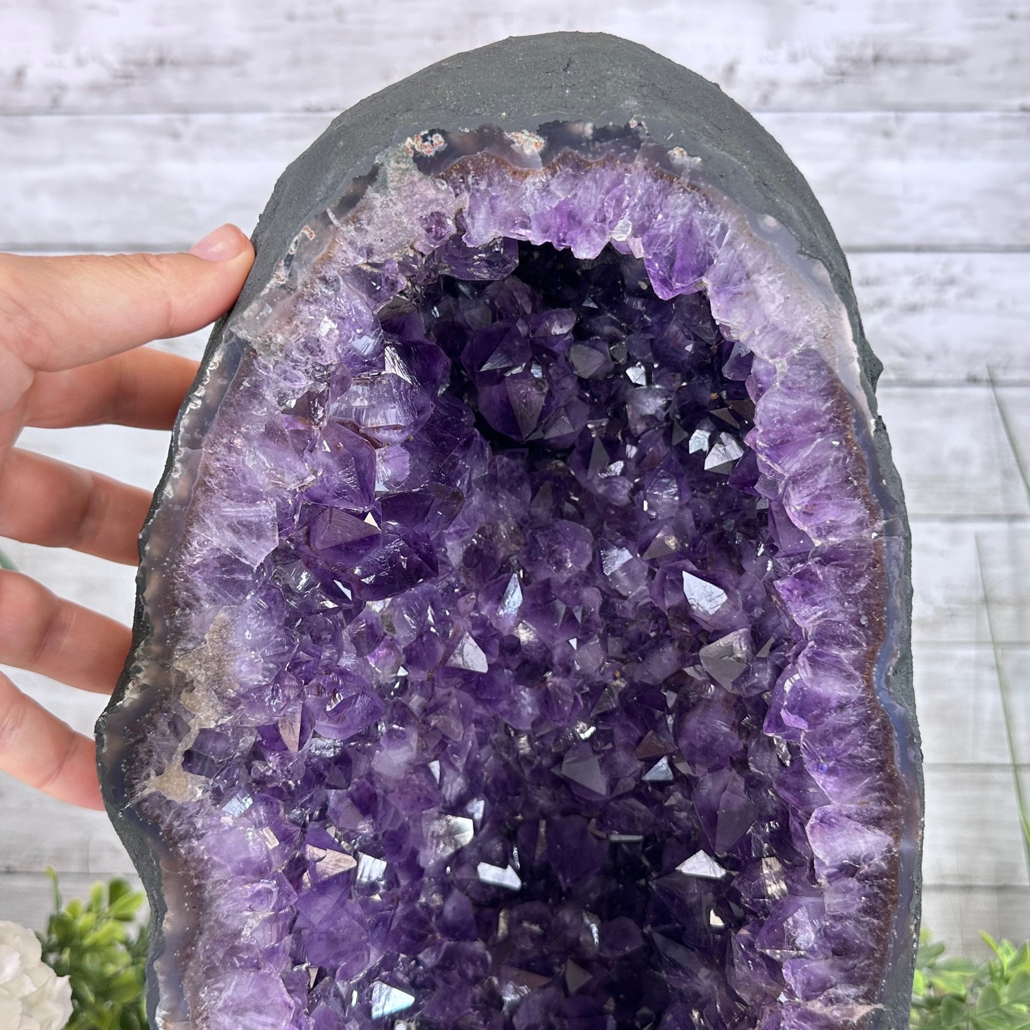 Extra Plus Quality Brazilian Amethyst Cathedral, 30 lbs & 13.75" Tall, Model #5601-0871 by Brazil Gems - Brazil GemsBrazil GemsExtra Plus Quality Brazilian Amethyst Cathedral, 30 lbs & 13.75" Tall, Model #5601-0871 by Brazil GemsCathedrals5601-0871