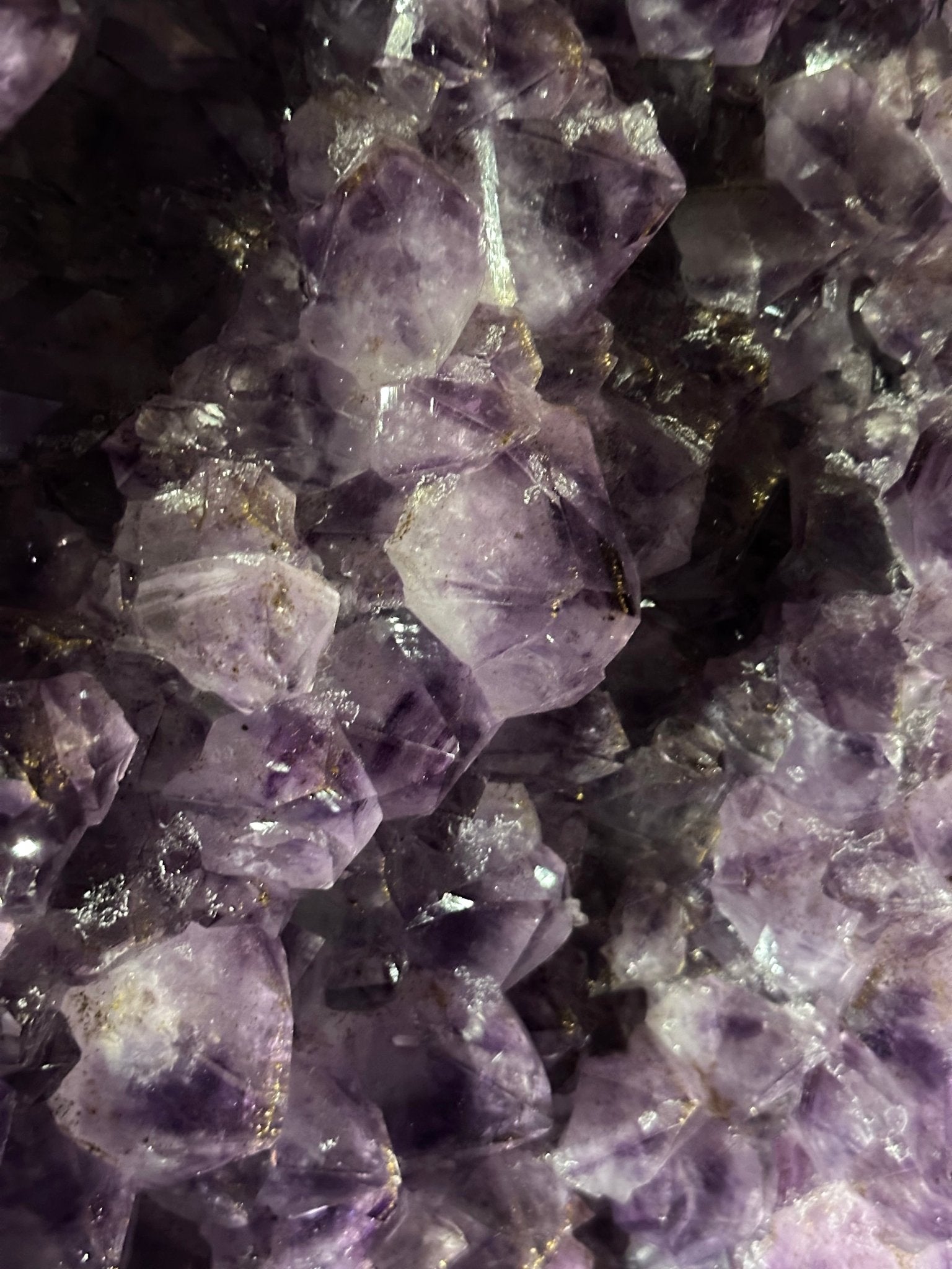 Extra Plus Quality Brazilian Amethyst Cathedral, 545 lbs & 69 Inches Tall #5601 - 1477 - Brazil GemsBrazil GemsExtra Plus Quality Brazilian Amethyst Cathedral, 545 lbs & 69 Inches Tall #5601 - 1477Cathedrals5601 - 1477