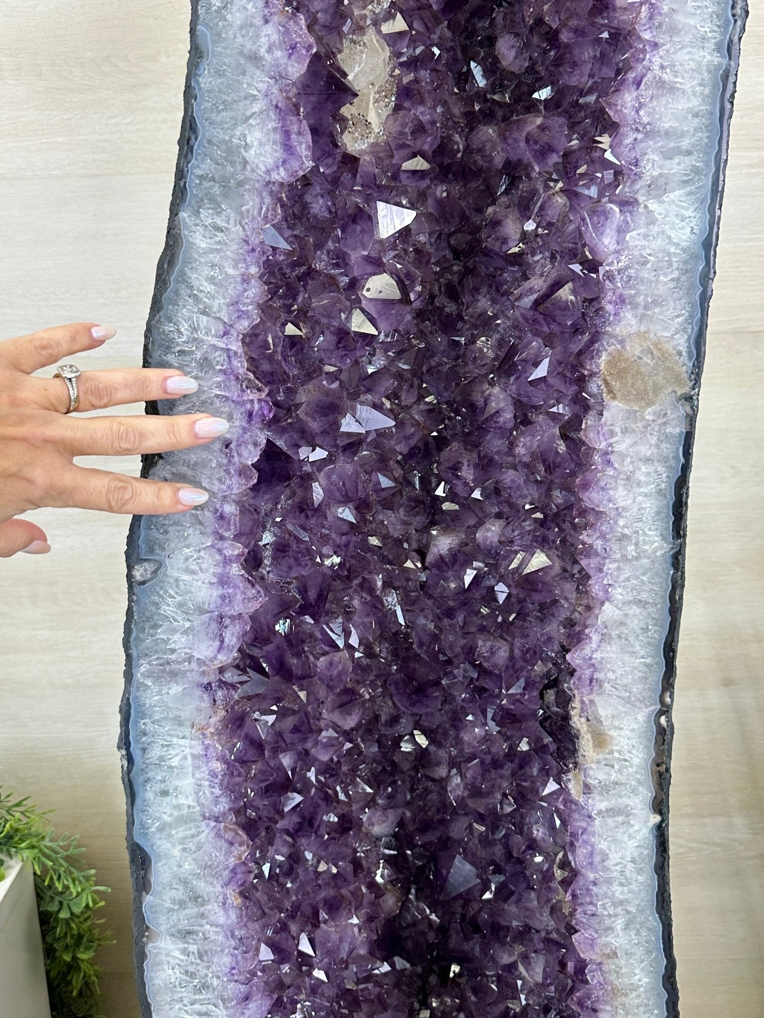 Extra Plus Quality Brazilian Amethyst Cathedral, 545 lbs & 69 Inches Tall #5601 - 1477 - Brazil GemsBrazil GemsExtra Plus Quality Brazilian Amethyst Cathedral, 545 lbs & 69 Inches Tall #5601 - 1477Cathedrals5601 - 1477