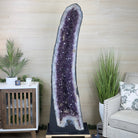 Extra Plus Quality Brazilian Amethyst Cathedral, 545 lbs & 69 Inches Tall #5601 - 1477 - Brazil GemsBrazil GemsExtra Plus Quality Brazilian Amethyst Cathedral, 545 lbs & 69 Inches Tall #5601 - 1477Cathedrals5601 - 1477