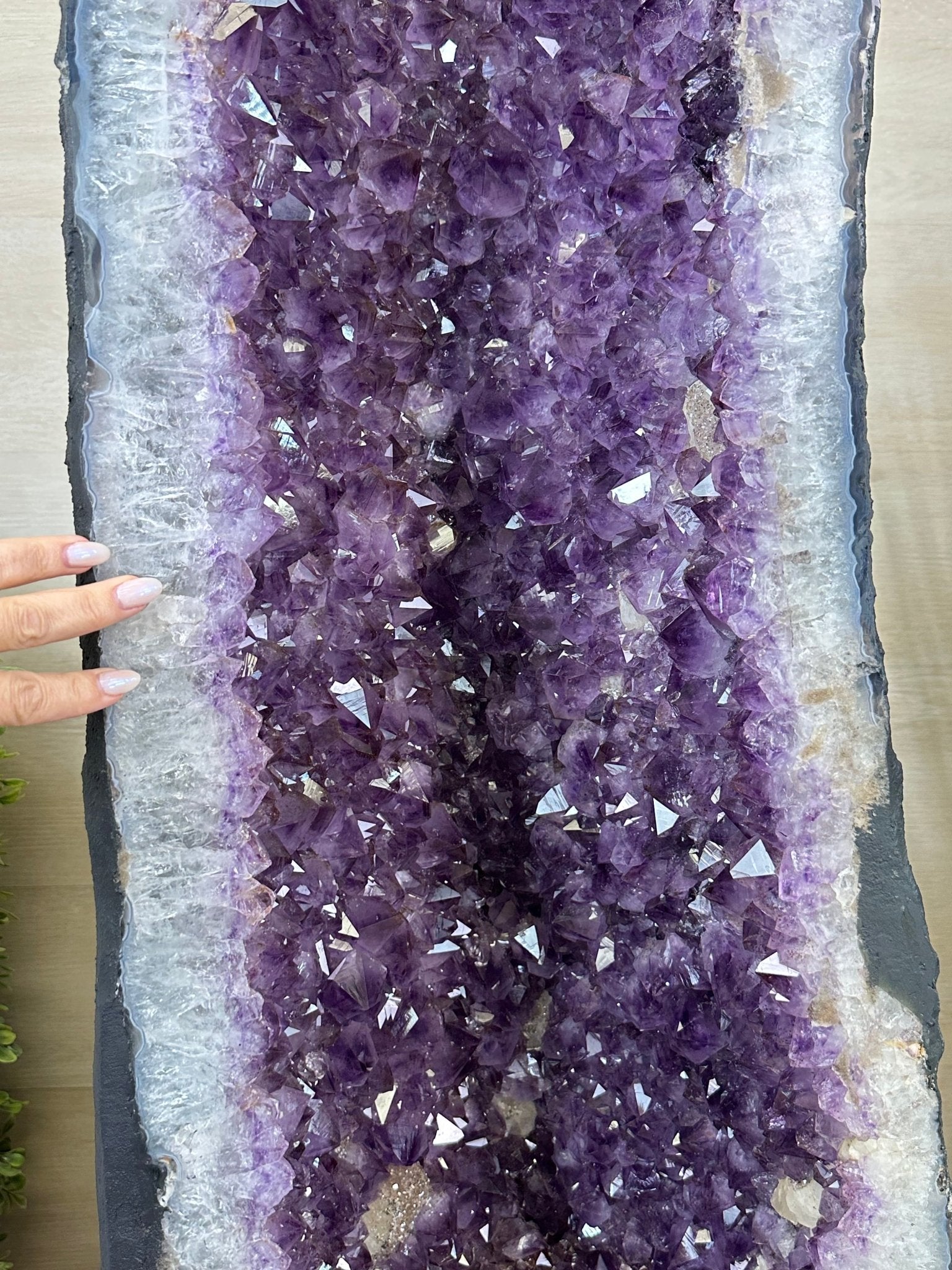 Extra Plus Quality Brazilian Amethyst Cathedral, 545 lbs & 69 Inches Tall #5601 - 1477 - Brazil GemsBrazil GemsExtra Plus Quality Brazilian Amethyst Cathedral, 545 lbs & 69 Inches Tall #5601 - 1477Cathedrals5601 - 1477