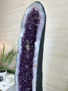 Extra Plus Quality Brazilian Amethyst Cathedral, 545 lbs & 69 Inches Tall #5601 - 1477 - Brazil GemsBrazil GemsExtra Plus Quality Brazilian Amethyst Cathedral, 545 lbs & 69 Inches Tall #5601 - 1477Cathedrals5601 - 1477
