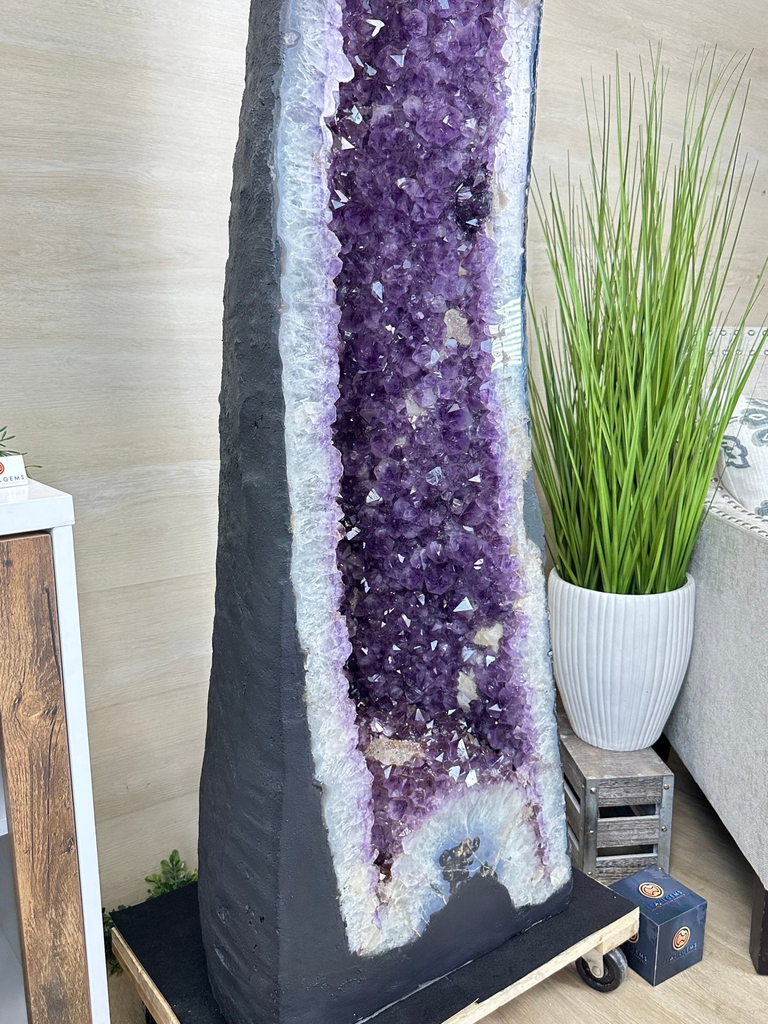Extra Plus Quality Brazilian Amethyst Cathedral, 545 lbs & 69 Inches Tall #5601 - 1477 - Brazil GemsBrazil GemsExtra Plus Quality Brazilian Amethyst Cathedral, 545 lbs & 69 Inches Tall #5601 - 1477Cathedrals5601 - 1477