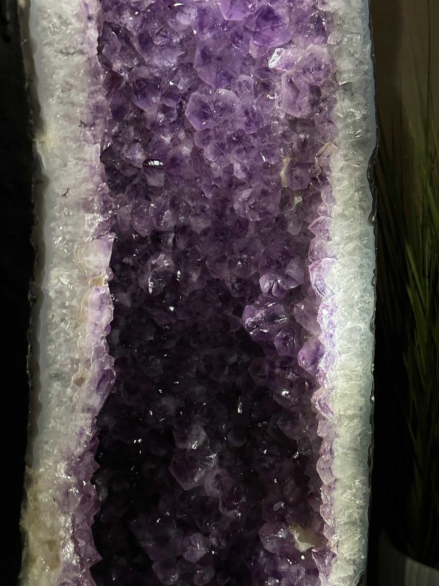 Extra Plus Quality Brazilian Amethyst Cathedral, 586.5 lbs & 71 Inches Tall #5601 - 1478 - Brazil GemsBrazil GemsExtra Plus Quality Brazilian Amethyst Cathedral, 586.5 lbs & 71 Inches Tall #5601 - 1478Cathedrals5601 - 1478