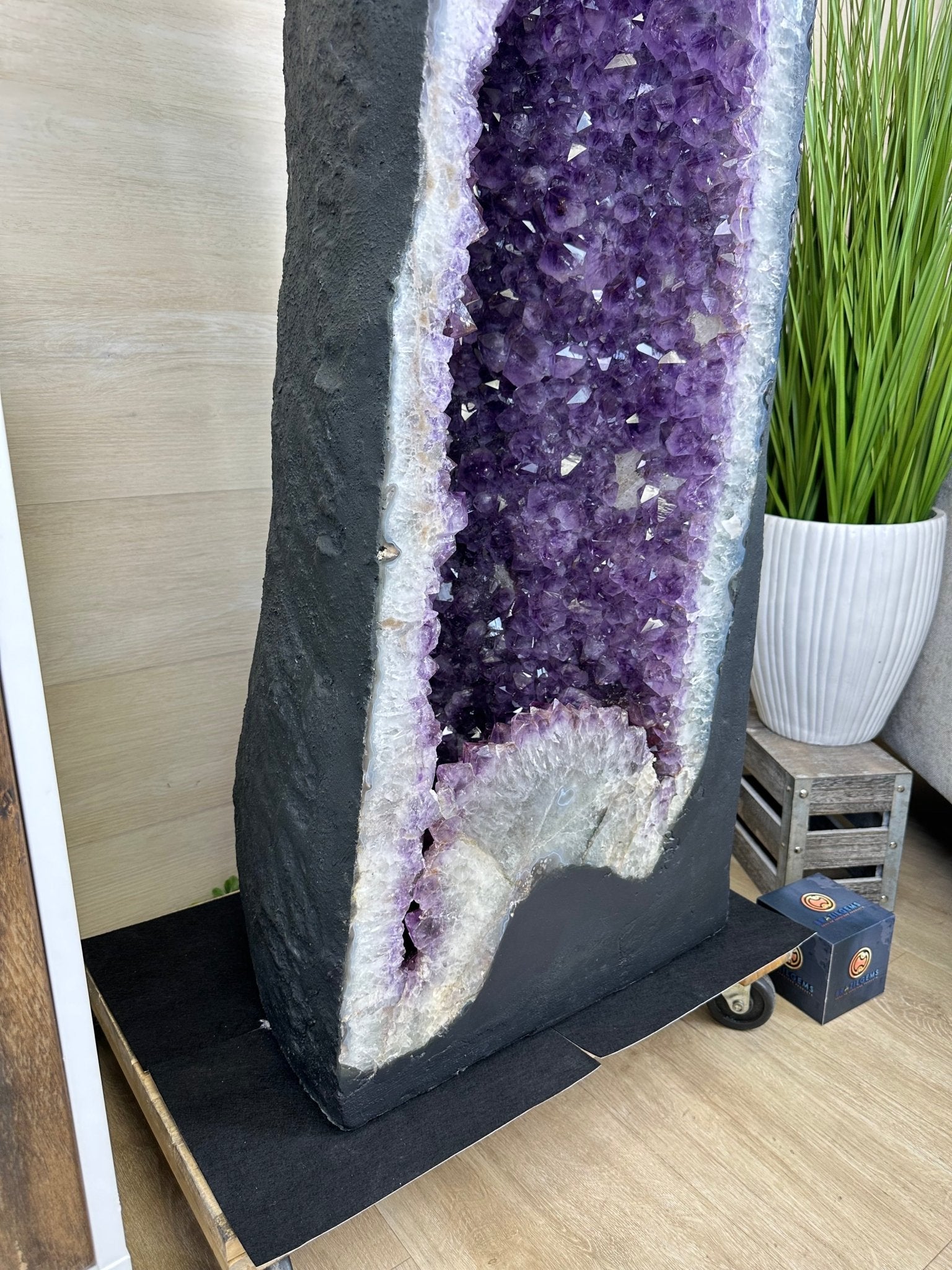 Extra Plus Quality Brazilian Amethyst Cathedral, 586.5 lbs & 71 Inches Tall #5601 - 1478 - Brazil GemsBrazil GemsExtra Plus Quality Brazilian Amethyst Cathedral, 586.5 lbs & 71 Inches Tall #5601 - 1478Cathedrals5601 - 1478