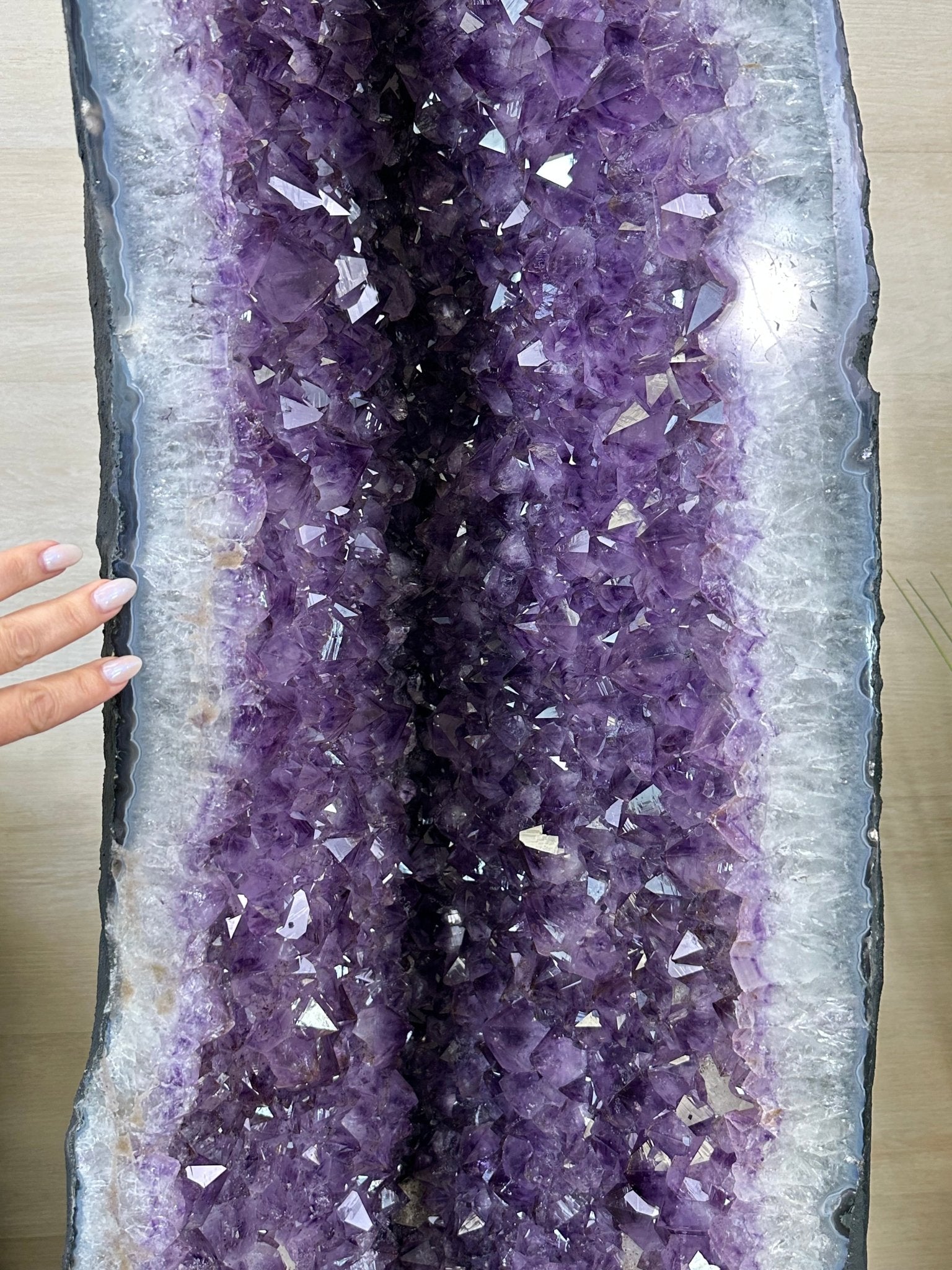Extra Plus Quality Brazilian Amethyst Cathedral, 586.5 lbs & 71 Inches Tall #5601 - 1478 - Brazil GemsBrazil GemsExtra Plus Quality Brazilian Amethyst Cathedral, 586.5 lbs & 71 Inches Tall #5601 - 1478Cathedrals5601 - 1478