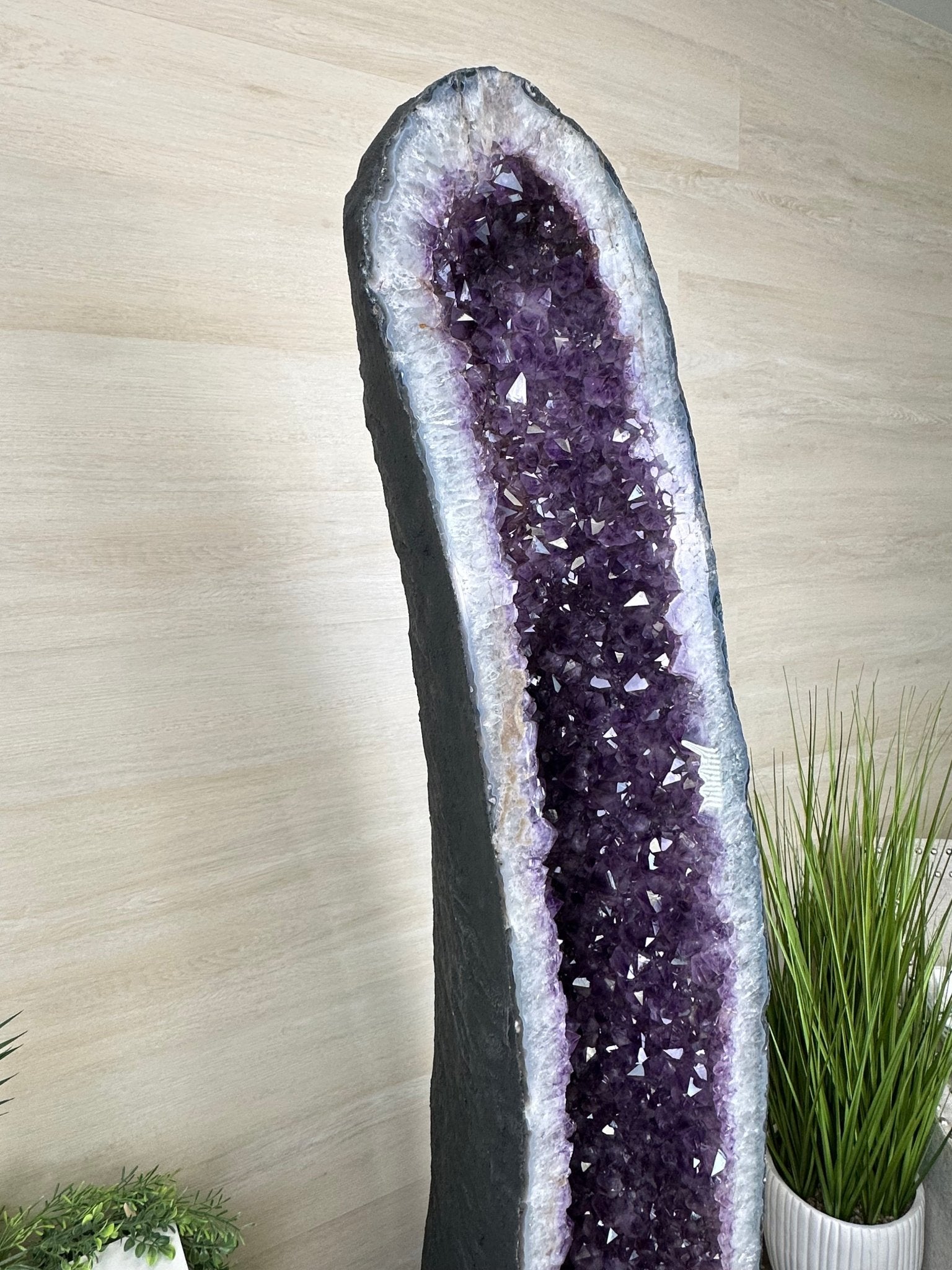 Extra Plus Quality Brazilian Amethyst Cathedral, 586.5 lbs & 71 Inches Tall #5601 - 1478 - Brazil GemsBrazil GemsExtra Plus Quality Brazilian Amethyst Cathedral, 586.5 lbs & 71 Inches Tall #5601 - 1478Cathedrals5601 - 1478
