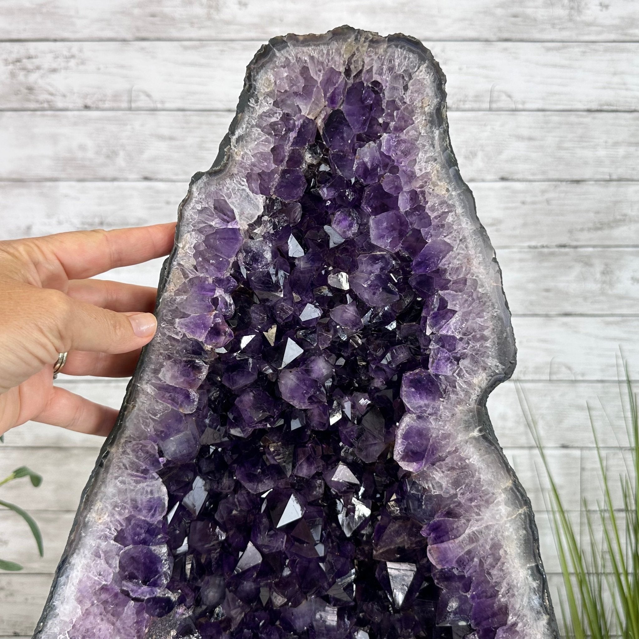 Extra Plus Quality Brazilian Amethyst Cathedral, 74.4 lbs & 21" Tall, Model #5601-0885 by Brazil Gems - Brazil GemsBrazil GemsExtra Plus Quality Brazilian Amethyst Cathedral, 74.4 lbs & 21" Tall, Model #5601-0885 by Brazil GemsCathedrals5601-0885