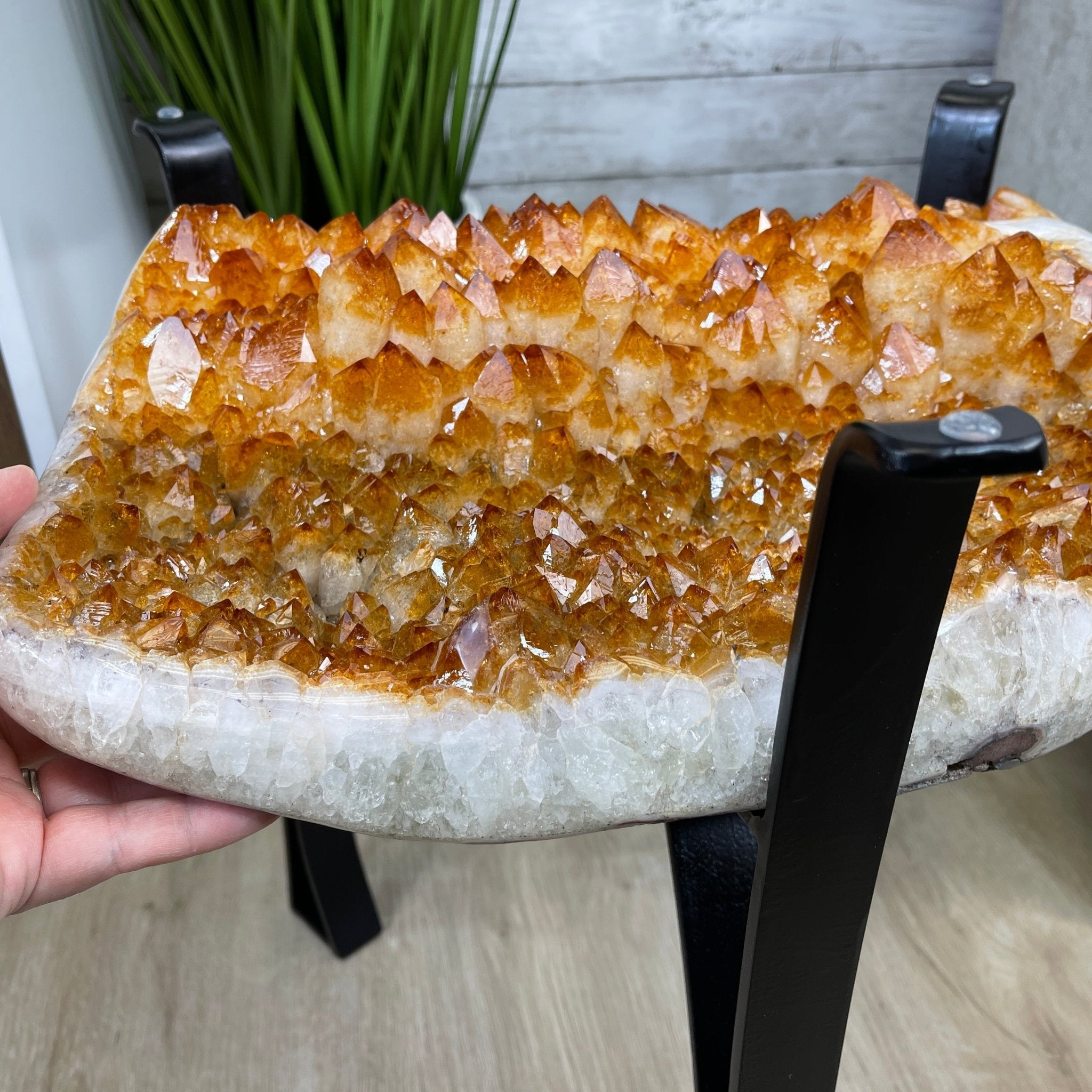 Extra Plus Quality Brazilian Citrine Geode Coffee Table, 53.3 lbs, 17.8" tall on metal base #1386-0017 by Brazil Gems - Brazil GemsBrazil GemsExtra Plus Quality Brazilian Citrine Geode Coffee Table, 53.3 lbs, 17.8" tall on metal base #1386-0017 by Brazil GemsTables: Coffee1386-0017