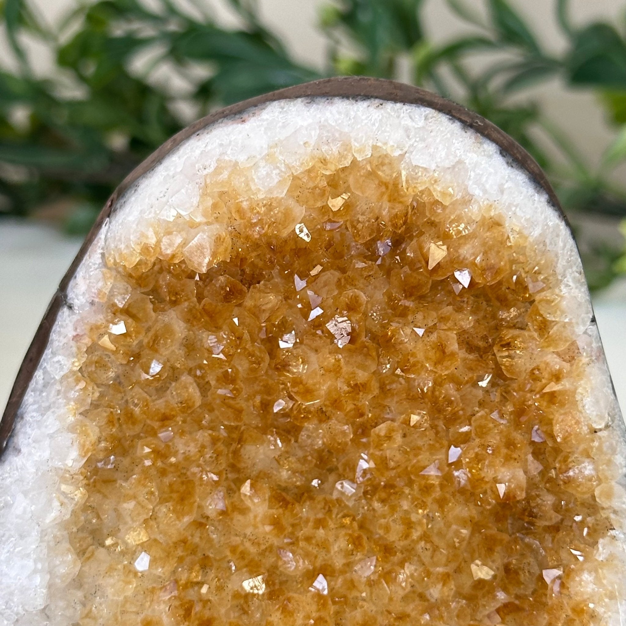 Extra Plus Quality Citrine Cluster w/ flat base, 3.1" Tall 5612 - 0196 - Brazil GemsBrazil GemsExtra Plus Quality Citrine Cluster w/ flat base, 3.1" Tall 5612 - 0196Small Clusters with Flat Bases5612 - 0196