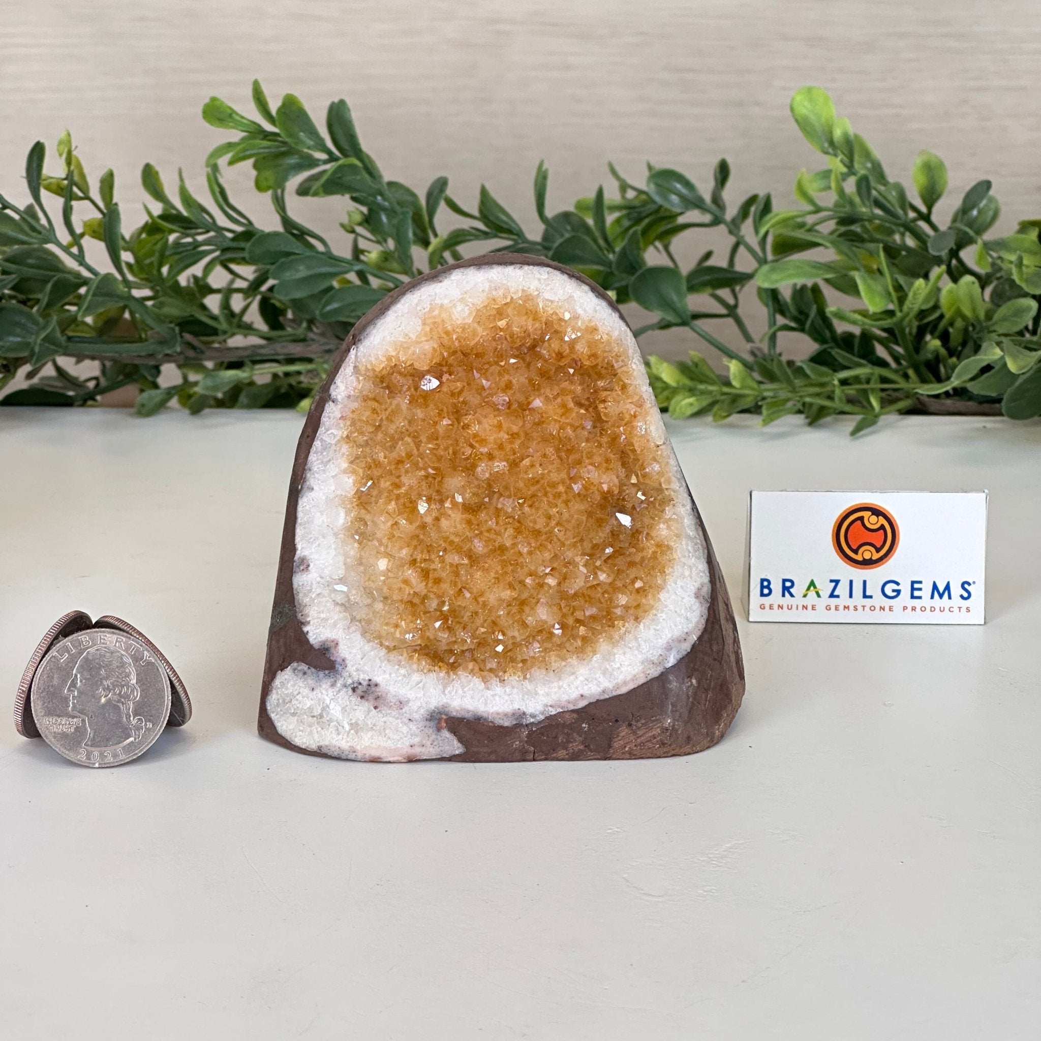 Extra Plus Quality Citrine Cluster w/ flat base, 3.1" Tall 5612 - 0196 - Brazil GemsBrazil GemsExtra Plus Quality Citrine Cluster w/ flat base, 3.1" Tall 5612 - 0196Small Clusters with Flat Bases5612 - 0196