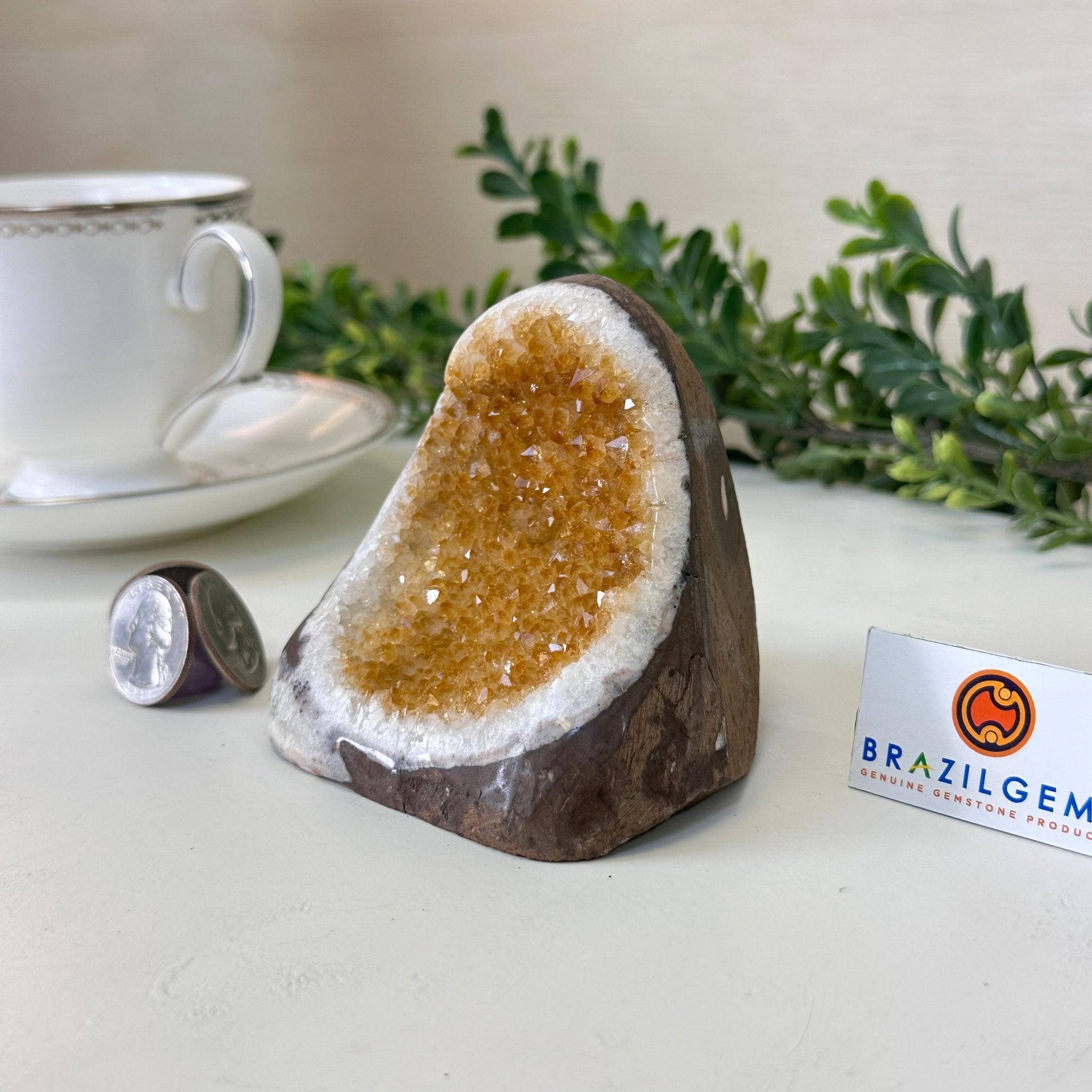 Extra Plus Quality Citrine Cluster w/ flat base, 3.1" Tall 5612 - 0196 - Brazil GemsBrazil GemsExtra Plus Quality Citrine Cluster w/ flat base, 3.1" Tall 5612 - 0196Small Clusters with Flat Bases5612 - 0196