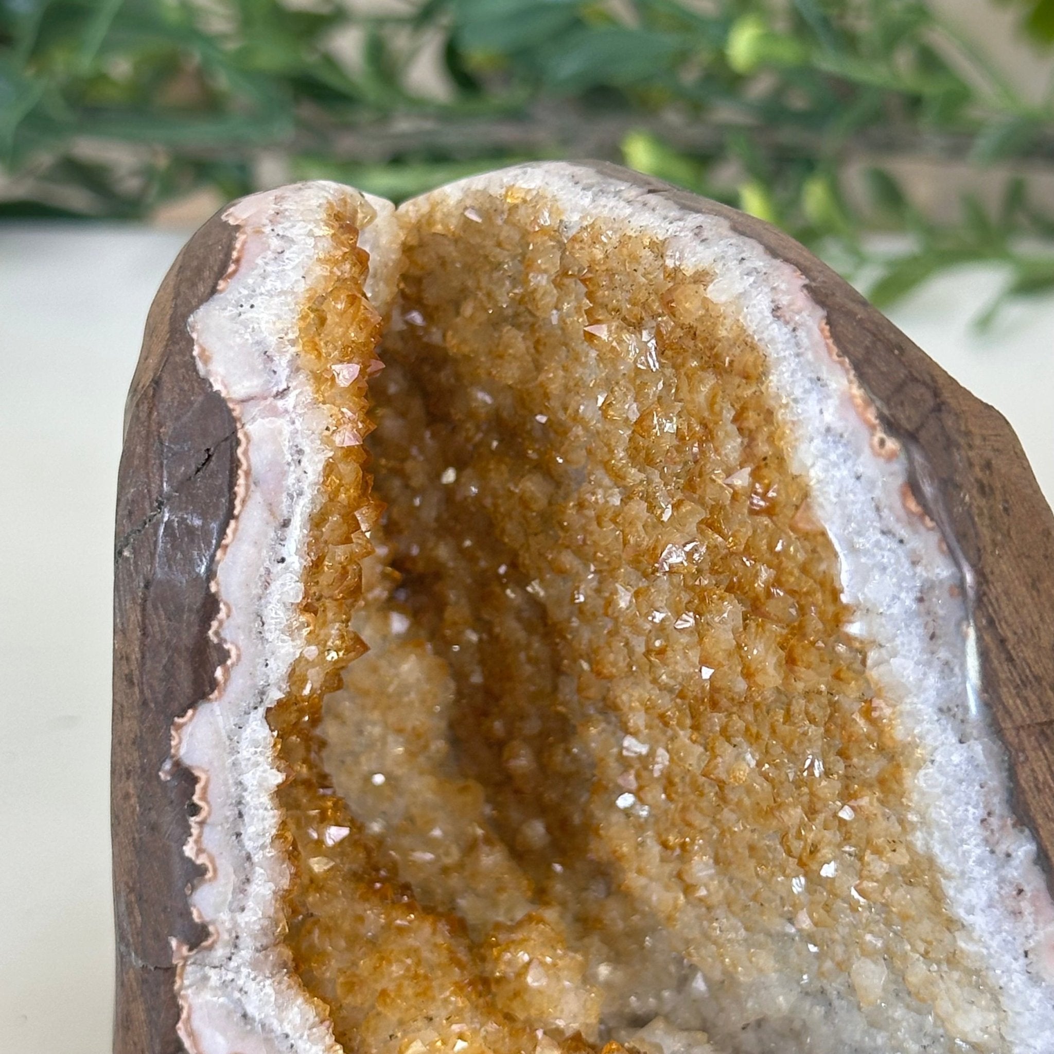 Extra Plus Quality Citrine Cluster w/ flat base, 3.3" Tall 5612 - 0216 - Brazil GemsBrazil GemsExtra Plus Quality Citrine Cluster w/ flat base, 3.3" Tall 5612 - 0216Small Clusters with Flat Bases5612 - 0216