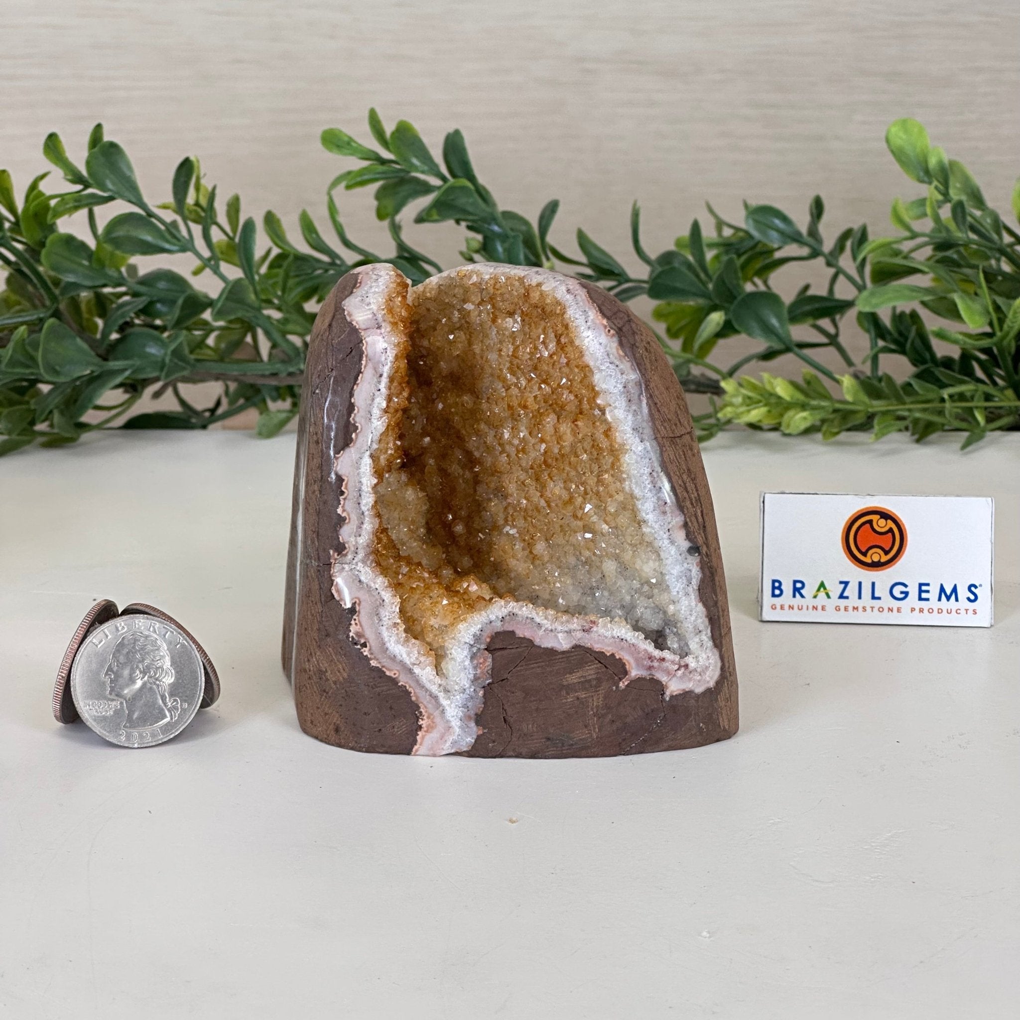 Extra Plus Quality Citrine Cluster w/ flat base, 3.3" Tall 5612 - 0216 - Brazil GemsBrazil GemsExtra Plus Quality Citrine Cluster w/ flat base, 3.3" Tall 5612 - 0216Small Clusters with Flat Bases5612 - 0216