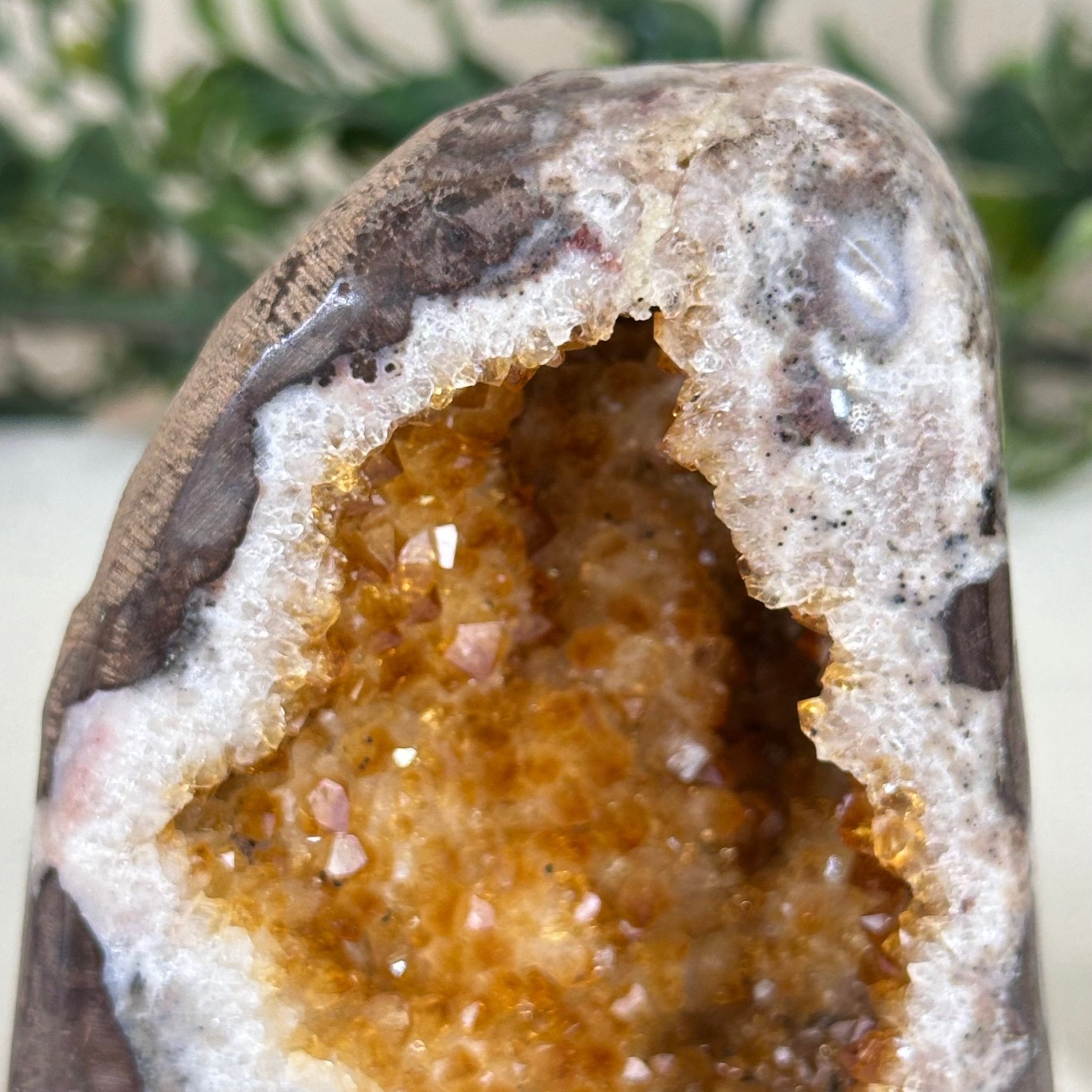 Extra Plus Quality Citrine Cluster w/ flat base, 3.4" Tall 5612 - 0210 - Brazil GemsBrazil GemsExtra Plus Quality Citrine Cluster w/ flat base, 3.4" Tall 5612 - 0210Small Clusters with Flat Bases5612 - 0210