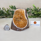 Extra Plus Quality Citrine Cluster w/ flat base, 3.6" Tall 5612 - 0184 - Brazil GemsBrazil GemsExtra Plus Quality Citrine Cluster w/ flat base, 3.6" Tall 5612 - 0184Small Clusters with Flat Bases5612 - 0184
