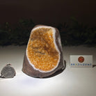 Extra Plus Quality Citrine Cluster w/ flat base, 3.6" Tall 5612 - 0184 - Brazil GemsBrazil GemsExtra Plus Quality Citrine Cluster w/ flat base, 3.6" Tall 5612 - 0184Small Clusters with Flat Bases5612 - 0184