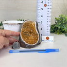 Extra Plus Quality Citrine Cluster w/ flat base, 3.6" Tall 5612 - 0184 - Brazil GemsBrazil GemsExtra Plus Quality Citrine Cluster w/ flat base, 3.6" Tall 5612 - 0184Small Clusters with Flat Bases5612 - 0184