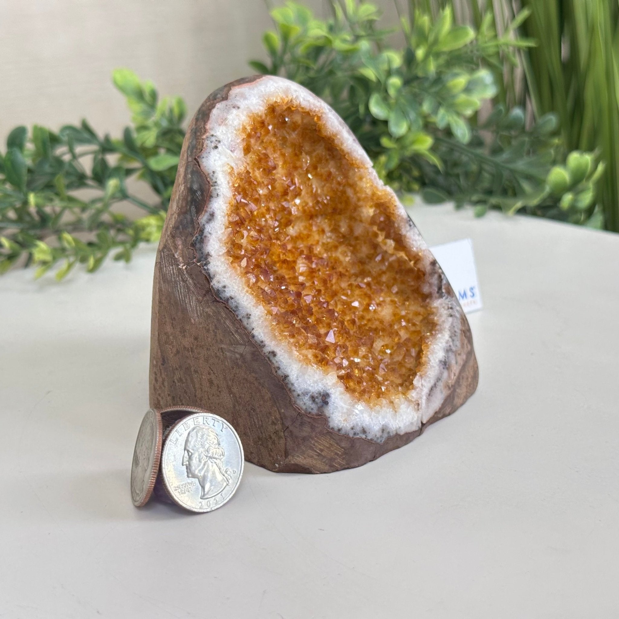 Extra Plus Quality Citrine Cluster w/ flat base, 3.7" Tall 5612 - 0222 - Brazil GemsBrazil GemsExtra Plus Quality Citrine Cluster w/ flat base, 3.7" Tall 5612 - 0222Small Clusters with Flat Bases5612 - 0222
