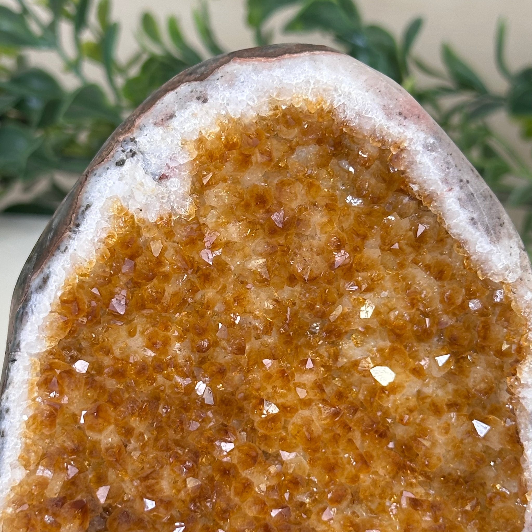 Extra Plus Quality Citrine Cluster w/ flat base, 3.7" Tall 5612 - 0222 - Brazil GemsBrazil GemsExtra Plus Quality Citrine Cluster w/ flat base, 3.7" Tall 5612 - 0222Small Clusters with Flat Bases5612 - 0222