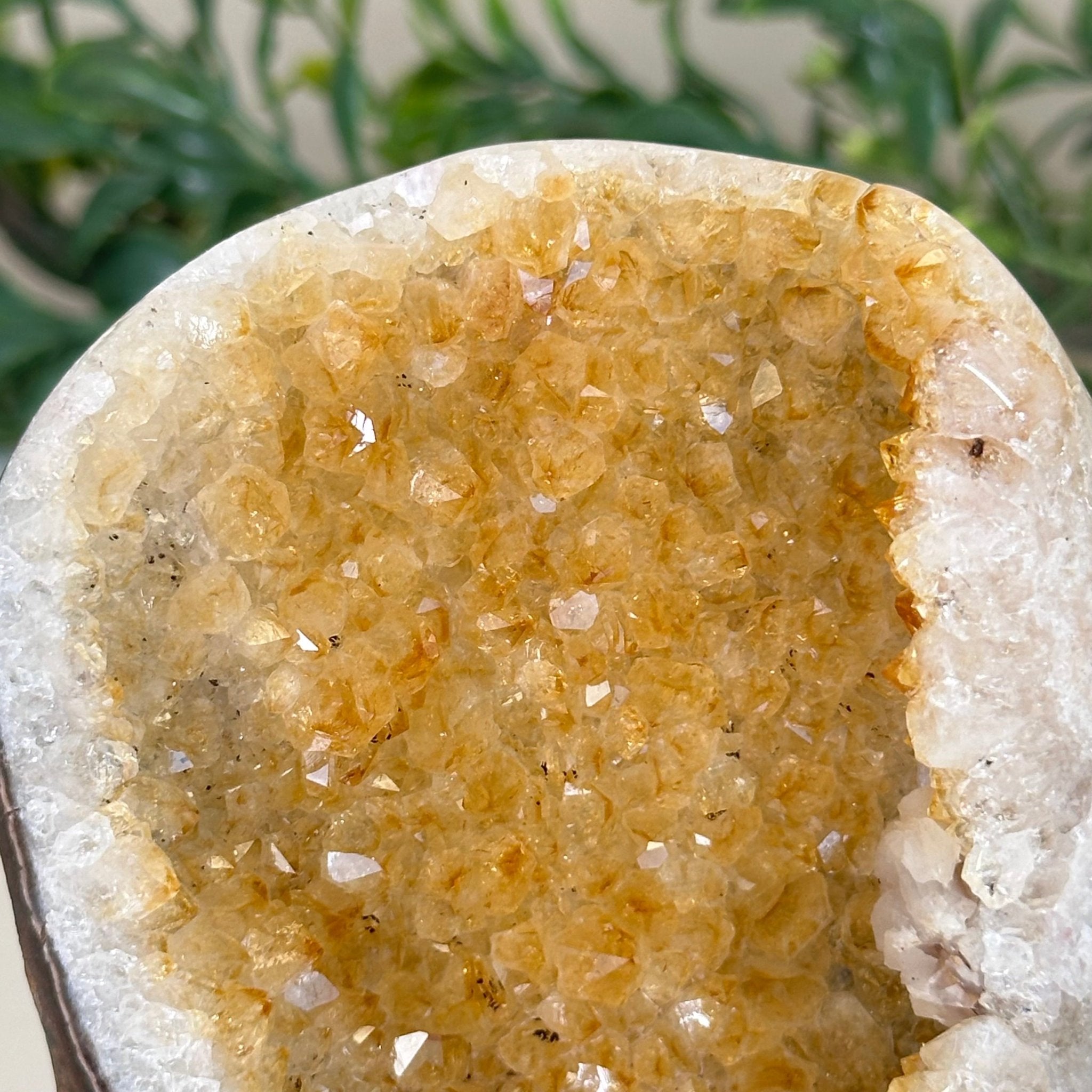Extra Plus Quality Citrine Cluster w/ flat base, 3.8" Tall 5612 - 0208 - Brazil GemsBrazil GemsExtra Plus Quality Citrine Cluster w/ flat base, 3.8" Tall 5612 - 0208Small Clusters with Flat Bases5612 - 0208
