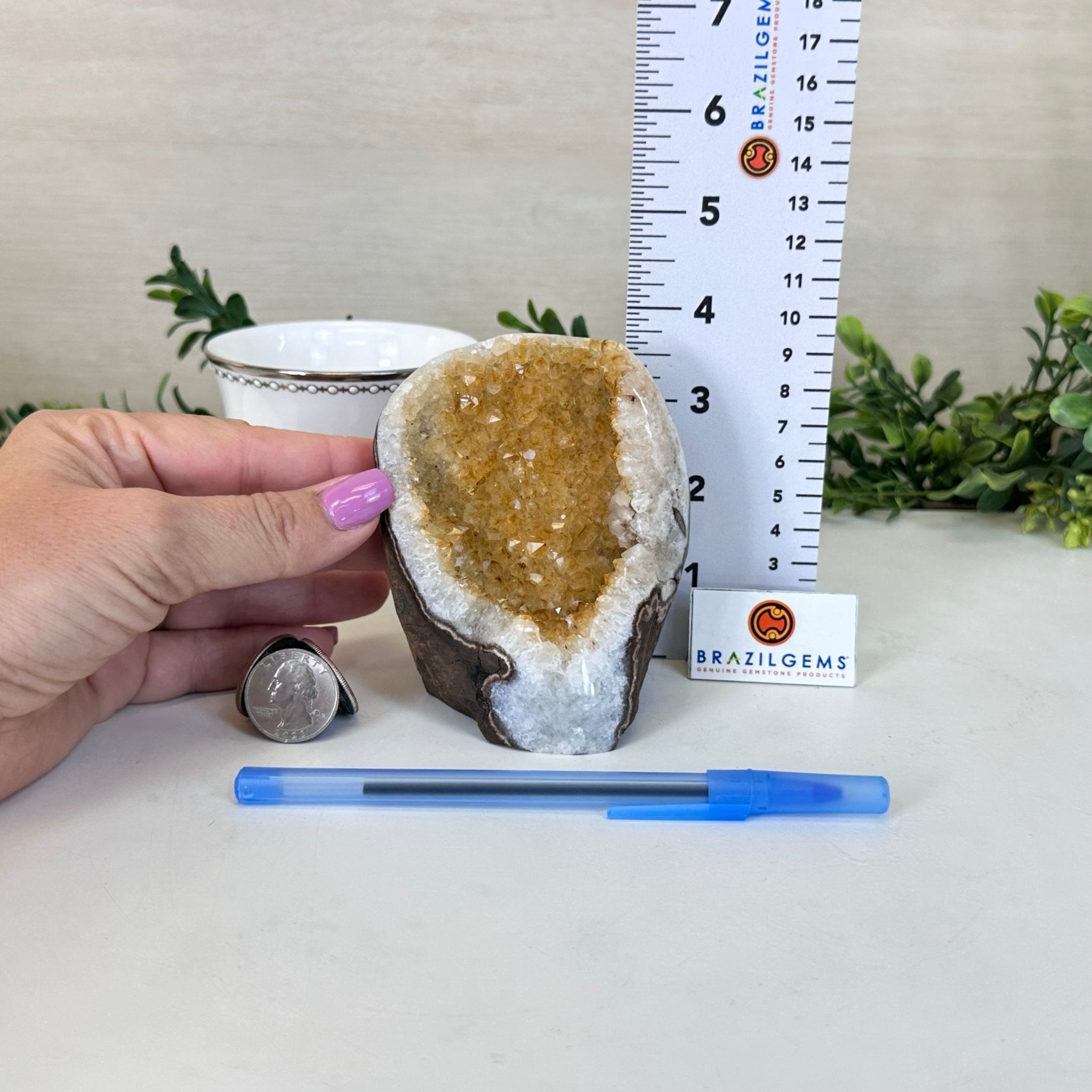 Extra Plus Quality Citrine Cluster w/ flat base, 3.8" Tall 5612 - 0208 - Brazil GemsBrazil GemsExtra Plus Quality Citrine Cluster w/ flat base, 3.8" Tall 5612 - 0208Small Clusters with Flat Bases5612 - 0208