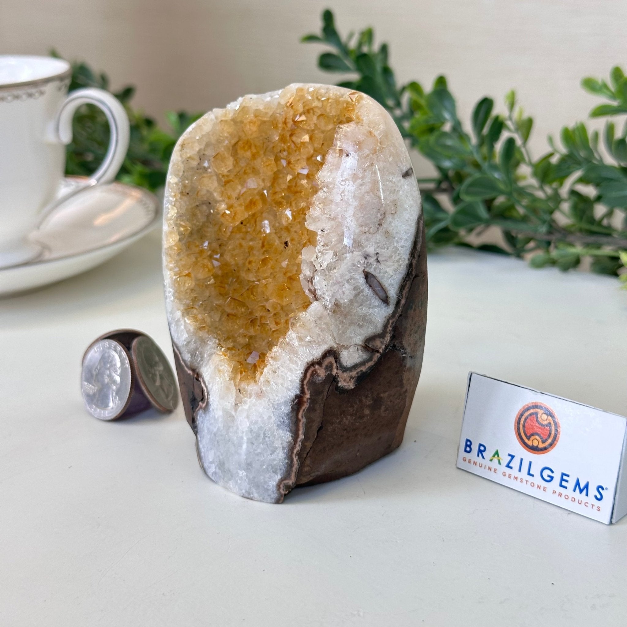 Extra Plus Quality Citrine Cluster w/ flat base, 3.8" Tall 5612 - 0208 - Brazil GemsBrazil GemsExtra Plus Quality Citrine Cluster w/ flat base, 3.8" Tall 5612 - 0208Small Clusters with Flat Bases5612 - 0208