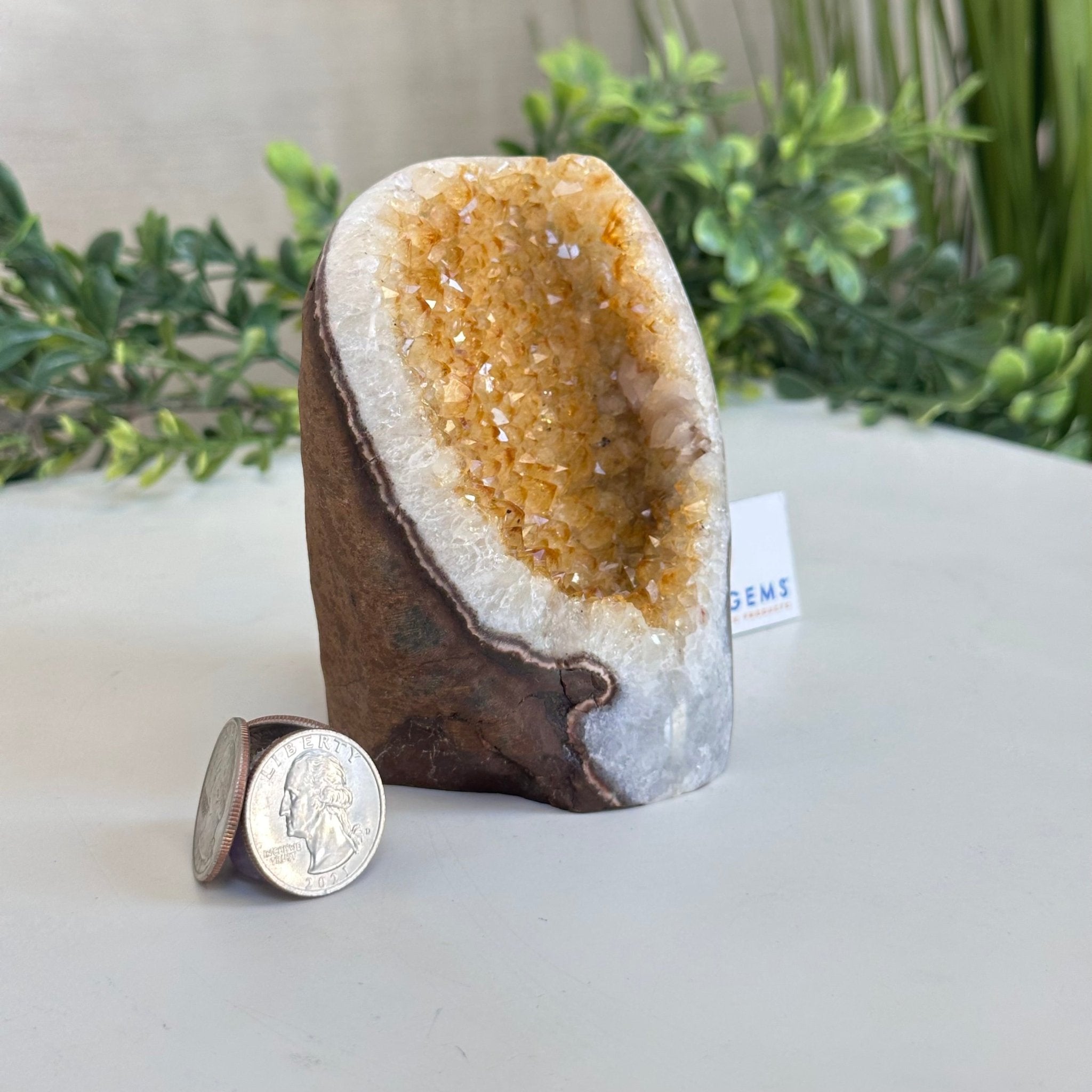 Extra Plus Quality Citrine Cluster w/ flat base, 3.8" Tall 5612 - 0208 - Brazil GemsBrazil GemsExtra Plus Quality Citrine Cluster w/ flat base, 3.8" Tall 5612 - 0208Small Clusters with Flat Bases5612 - 0208