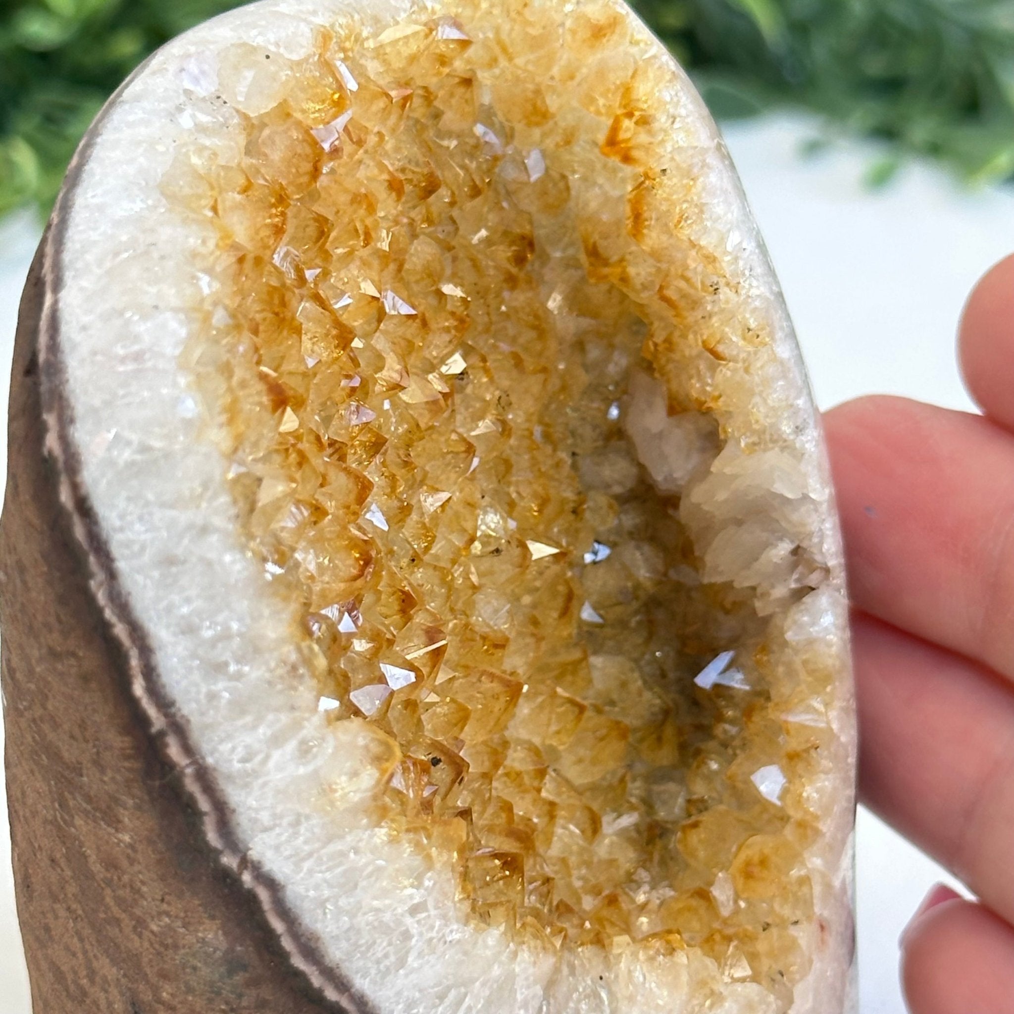 Extra Plus Quality Citrine Cluster w/ flat base, 3.8" Tall 5612 - 0208 - Brazil GemsBrazil GemsExtra Plus Quality Citrine Cluster w/ flat base, 3.8" Tall 5612 - 0208Small Clusters with Flat Bases5612 - 0208