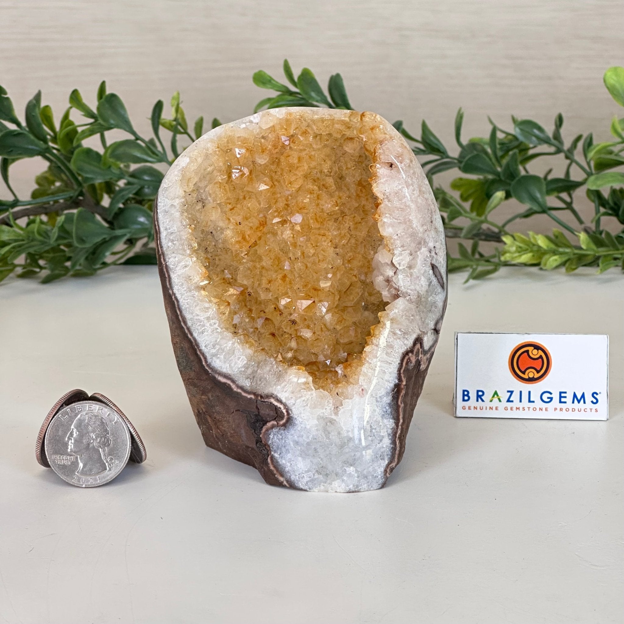Extra Plus Quality Citrine Cluster w/ flat base, 3.8" Tall 5612 - 0208 - Brazil GemsBrazil GemsExtra Plus Quality Citrine Cluster w/ flat base, 3.8" Tall 5612 - 0208Small Clusters with Flat Bases5612 - 0208