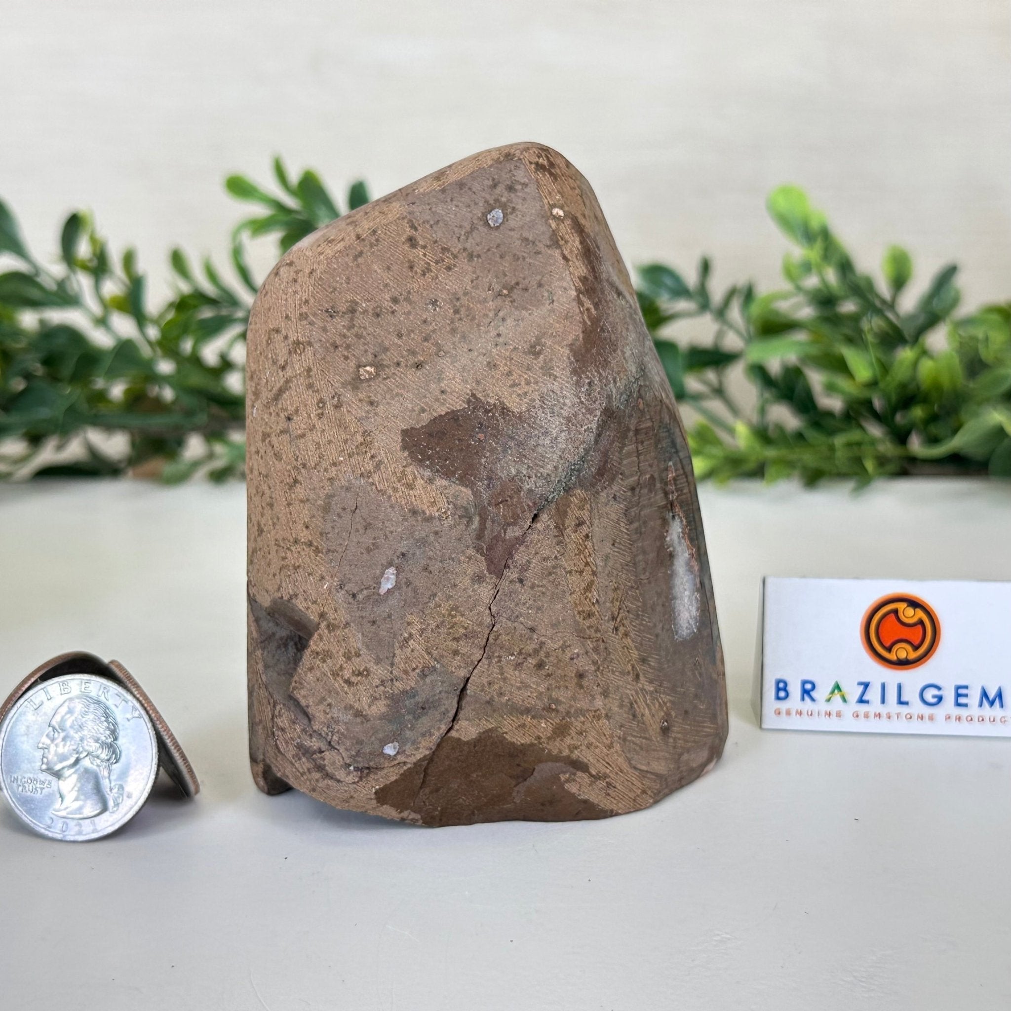 Extra Plus Quality Citrine Cluster w/ flat base, 3.9" Tall 5612 - 0205 - Brazil GemsBrazil GemsExtra Plus Quality Citrine Cluster w/ flat base, 3.9" Tall 5612 - 0205Small Clusters with Flat Bases5612 - 0205