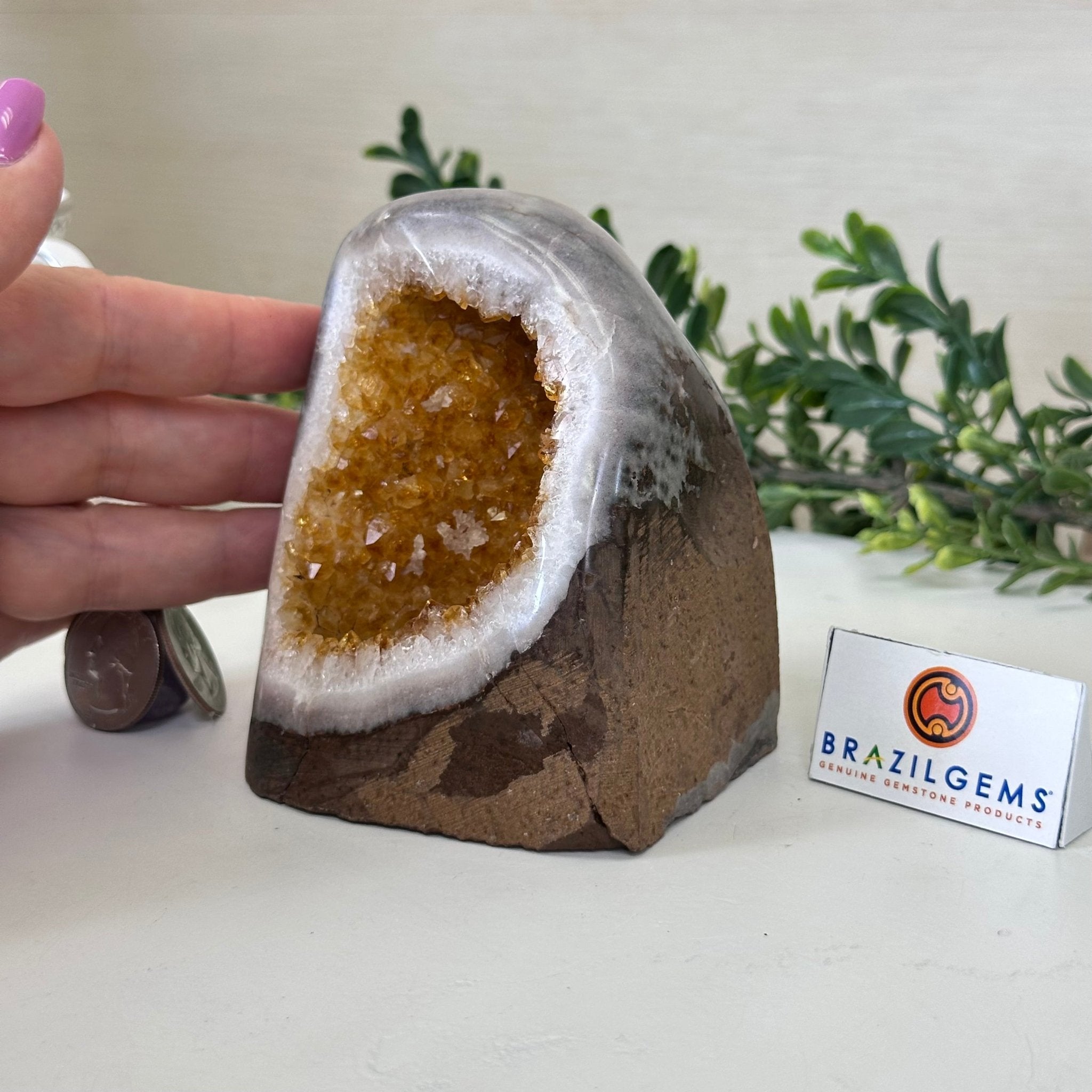 Extra Plus Quality Citrine Cluster w/ flat base, 3.9" Tall 5612 - 0227 - Brazil GemsBrazil GemsExtra Plus Quality Citrine Cluster w/ flat base, 3.9" Tall 5612 - 0227Small Clusters with Flat Bases5612 - 0227