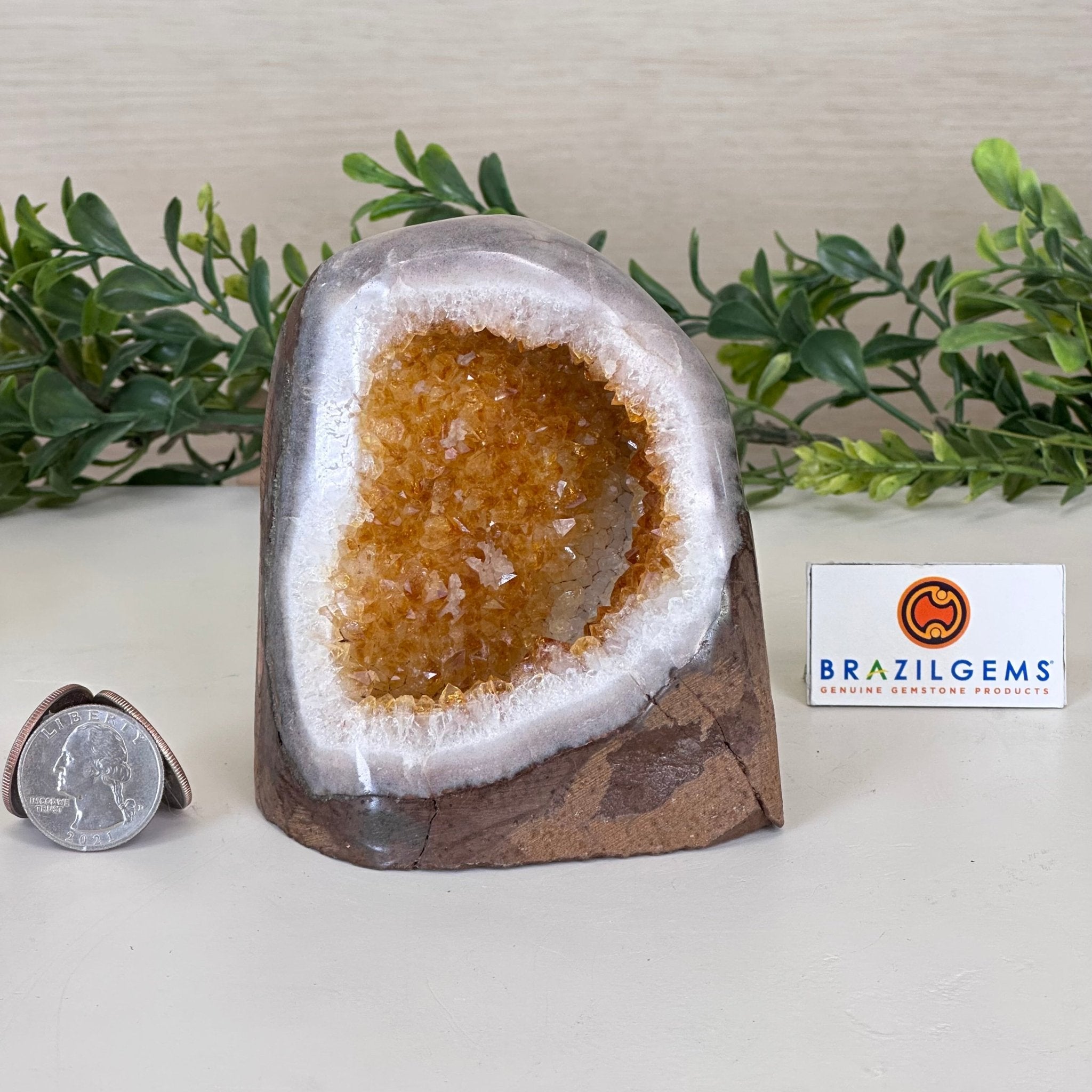 Extra Plus Quality Citrine Cluster w/ flat base, 3.9" Tall 5612 - 0227 - Brazil GemsBrazil GemsExtra Plus Quality Citrine Cluster w/ flat base, 3.9" Tall 5612 - 0227Small Clusters with Flat Bases5612 - 0227