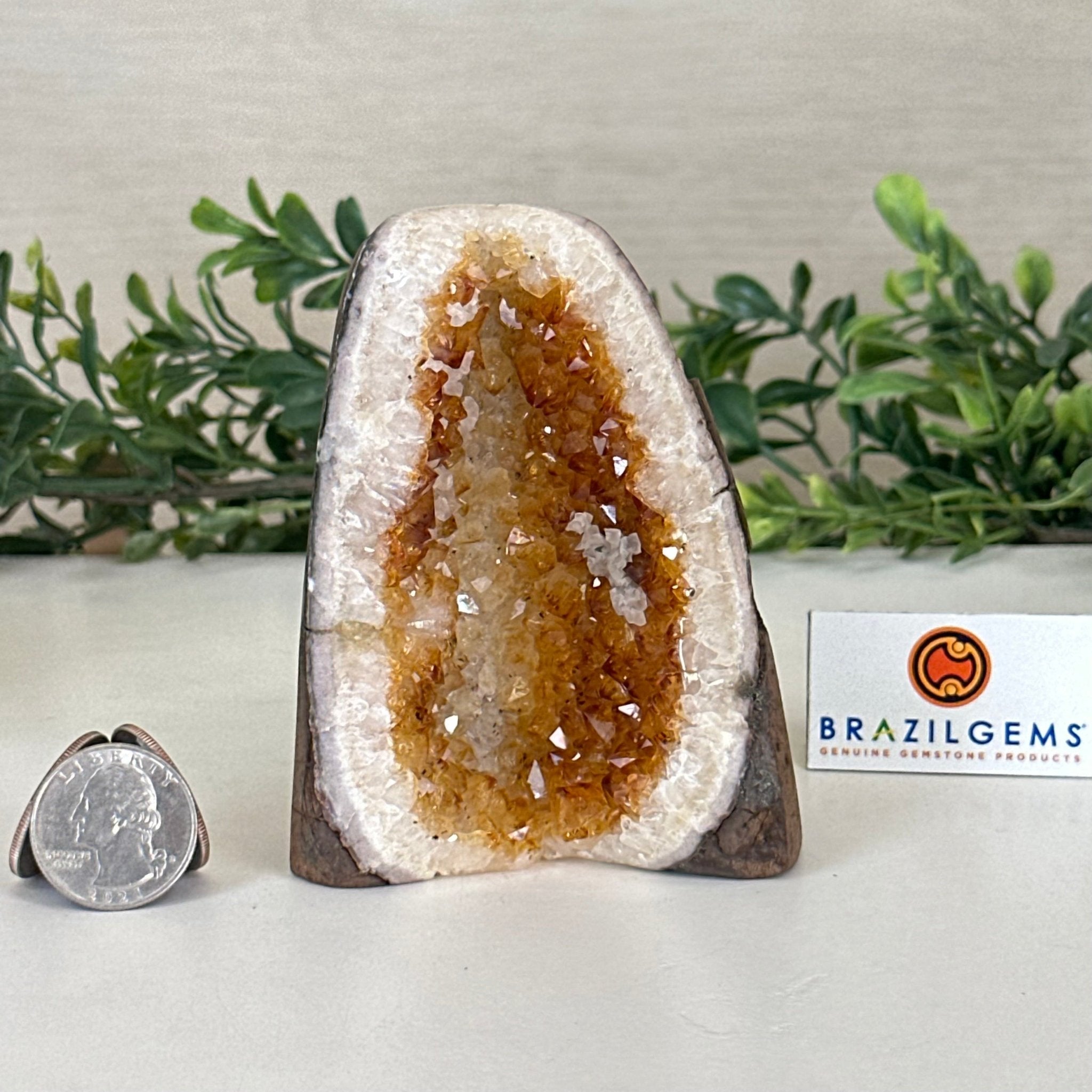Extra Plus Quality Citrine Cluster w/ flat base, 4" Tall 5612 - 0189 - Brazil GemsBrazil GemsExtra Plus Quality Citrine Cluster w/ flat base, 4" Tall 5612 - 0189Small Clusters with Flat Bases5612 - 0189