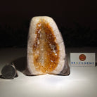 Extra Plus Quality Citrine Cluster w/ flat base, 4" Tall 5612 - 0189 - Brazil GemsBrazil GemsExtra Plus Quality Citrine Cluster w/ flat base, 4" Tall 5612 - 0189Small Clusters with Flat Bases5612 - 0189