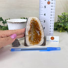 Extra Plus Quality Citrine Cluster w/ flat base, 4" Tall 5612 - 0189 - Brazil GemsBrazil GemsExtra Plus Quality Citrine Cluster w/ flat base, 4" Tall 5612 - 0189Small Clusters with Flat Bases5612 - 0189